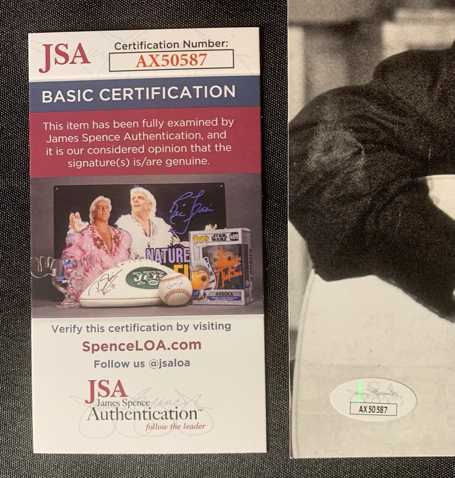 DON MCLEAN Autographed AMERICAN PIE 8x10 with JSA Authentication, image 3