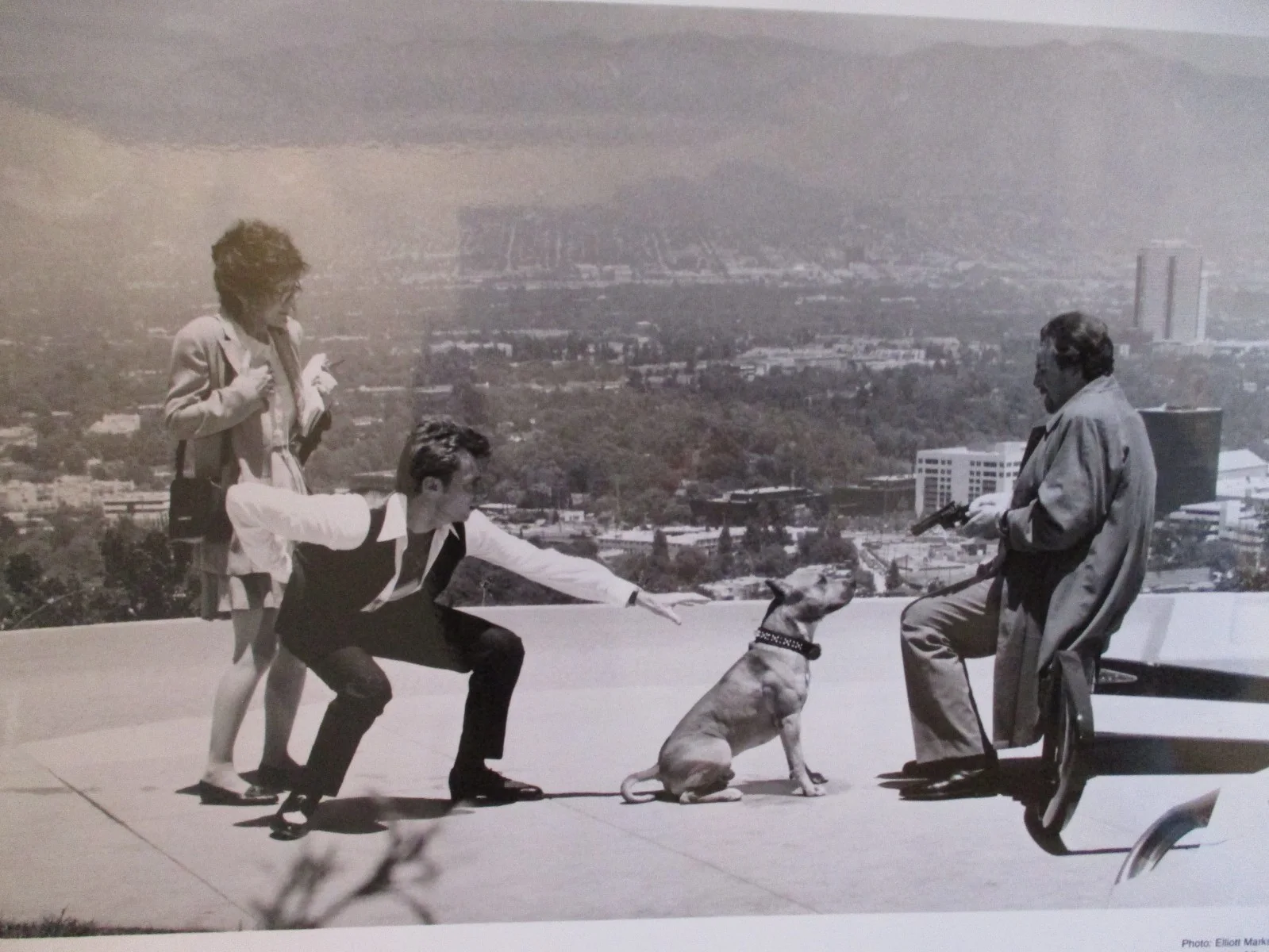 Greg Cruttwell/Glenne Headly/Danny Aiello(2 DAYS IN THE VALLEY)1996 10 x 8 Photo, image 3