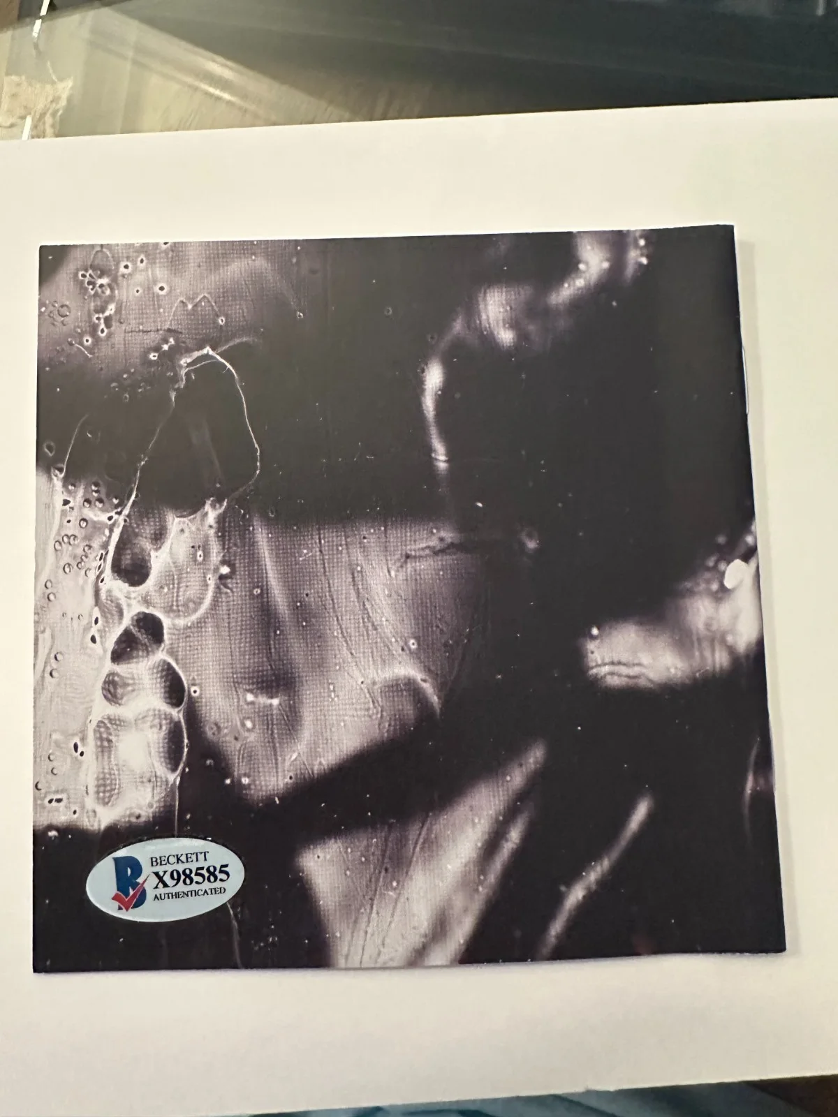 AMY LEE EVANESCENCE SIGNED "THE BITTER TRUTH" FRAMED CD BECKETT AUTOGRAPH A, изображение 2