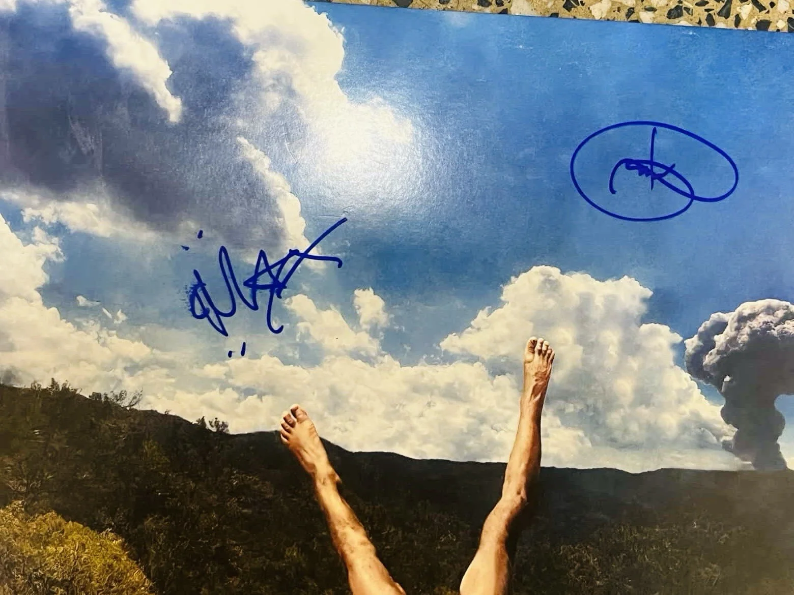 Geese 3D Country Signed Vinyl - Max + Dominic - Clear Vinyl - Free Prio Ship, изображение 2