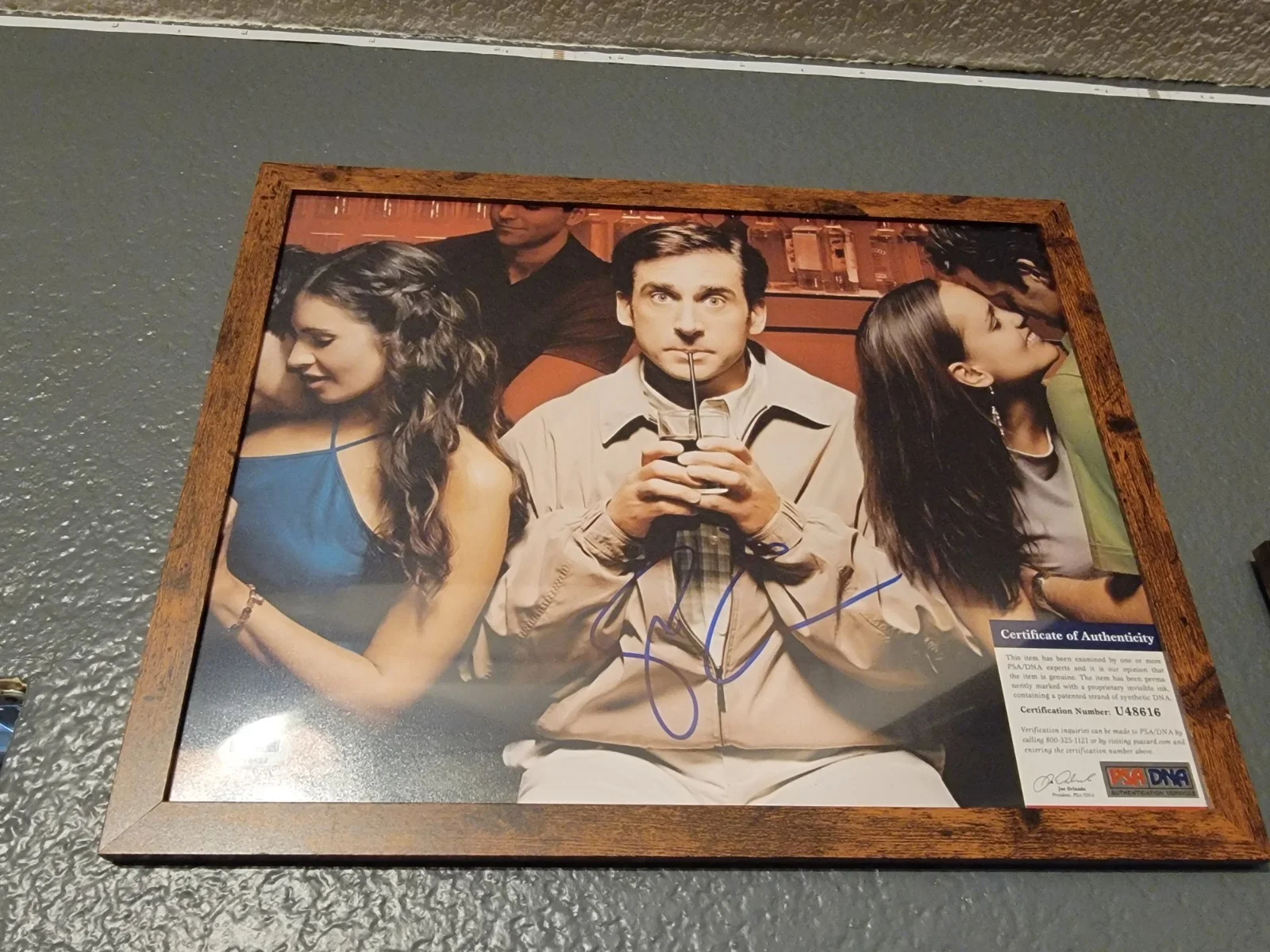 Steve Carrell — PSA DNA certified signed 11x14 photo Steve Carell The Office 40 Year Old Virgin