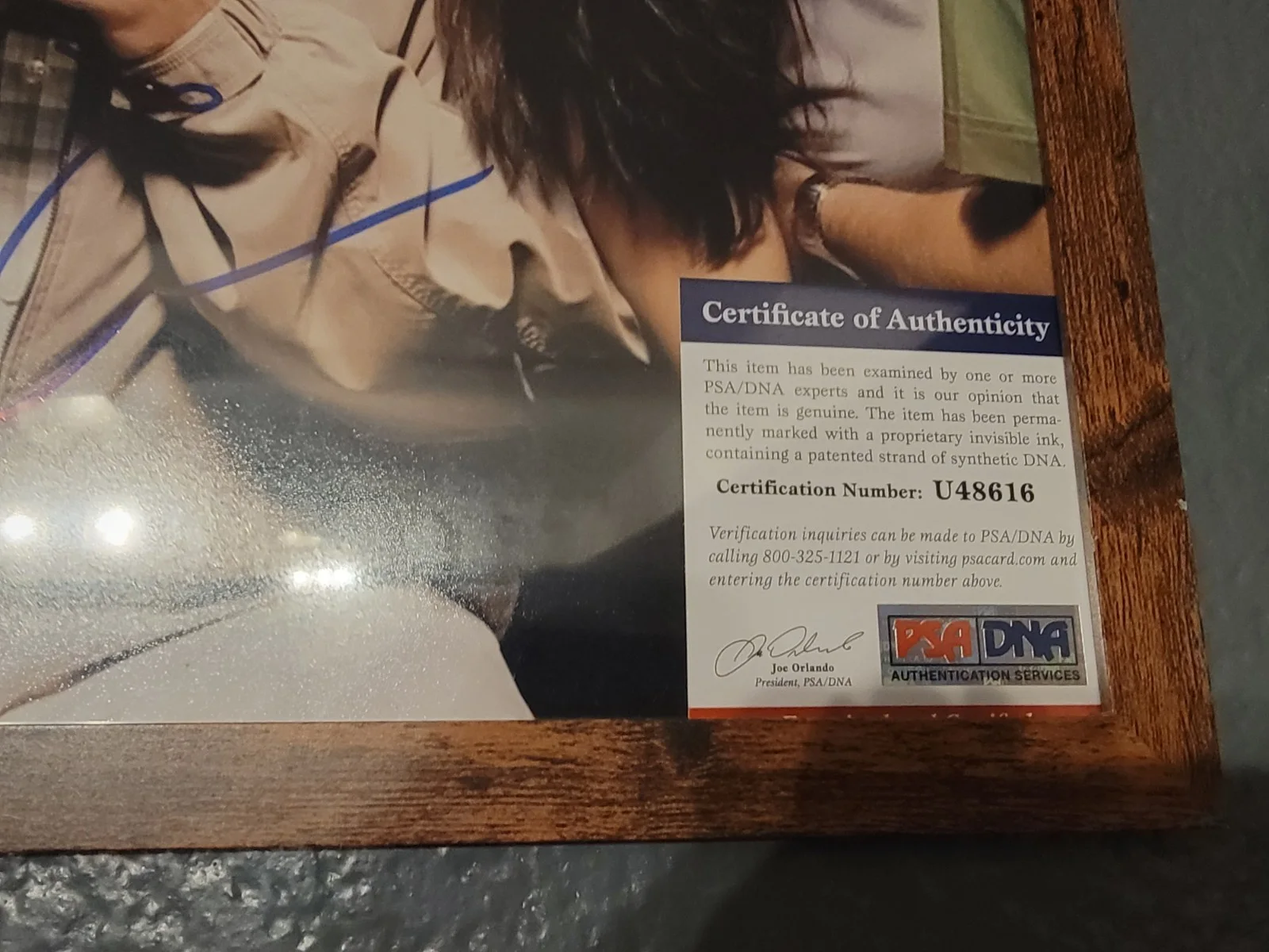 Steve Carrell — PSA DNA certified signed 11x14 photo Steve Carell The Office 40 Year Old Virgin, изображение 2