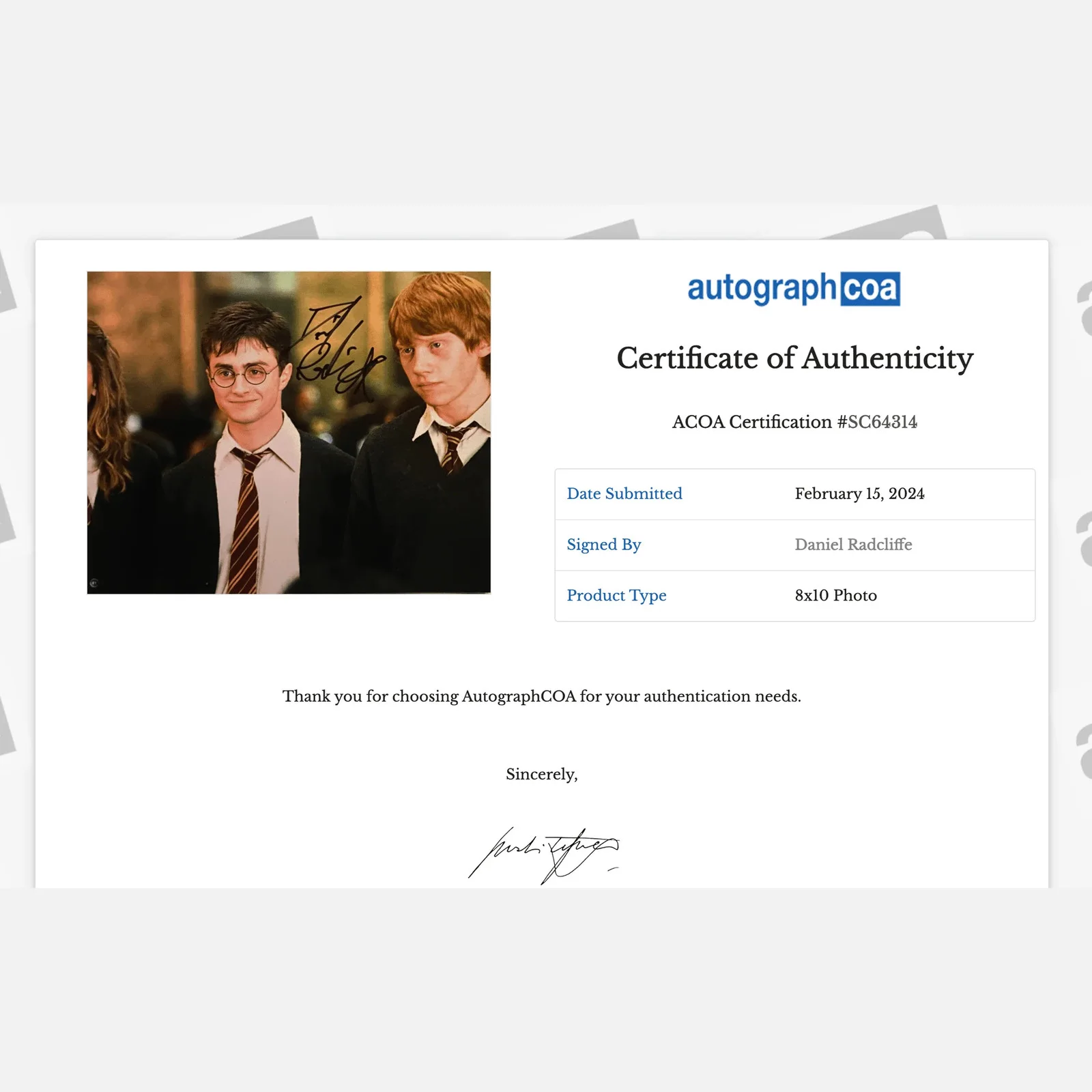 DANIEL RADCLIFFE autograph ACOA signed 8x10 photography HARRY — DANIEL RADCLIFFE autograph ACOA signed 8x10 photography HARRY POTTER, image 3