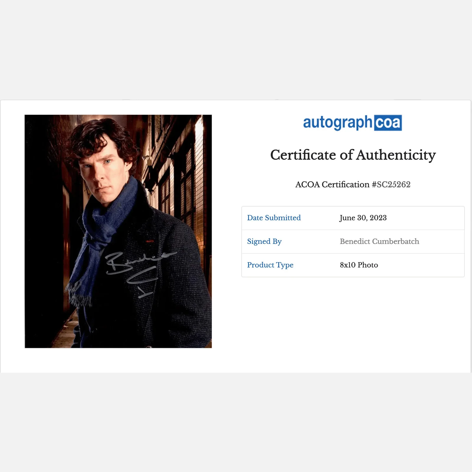 BENEDICT CUMBERBATCH autograph ACOA signed 8x10 photography SHERLOCK HOLMES, image 2