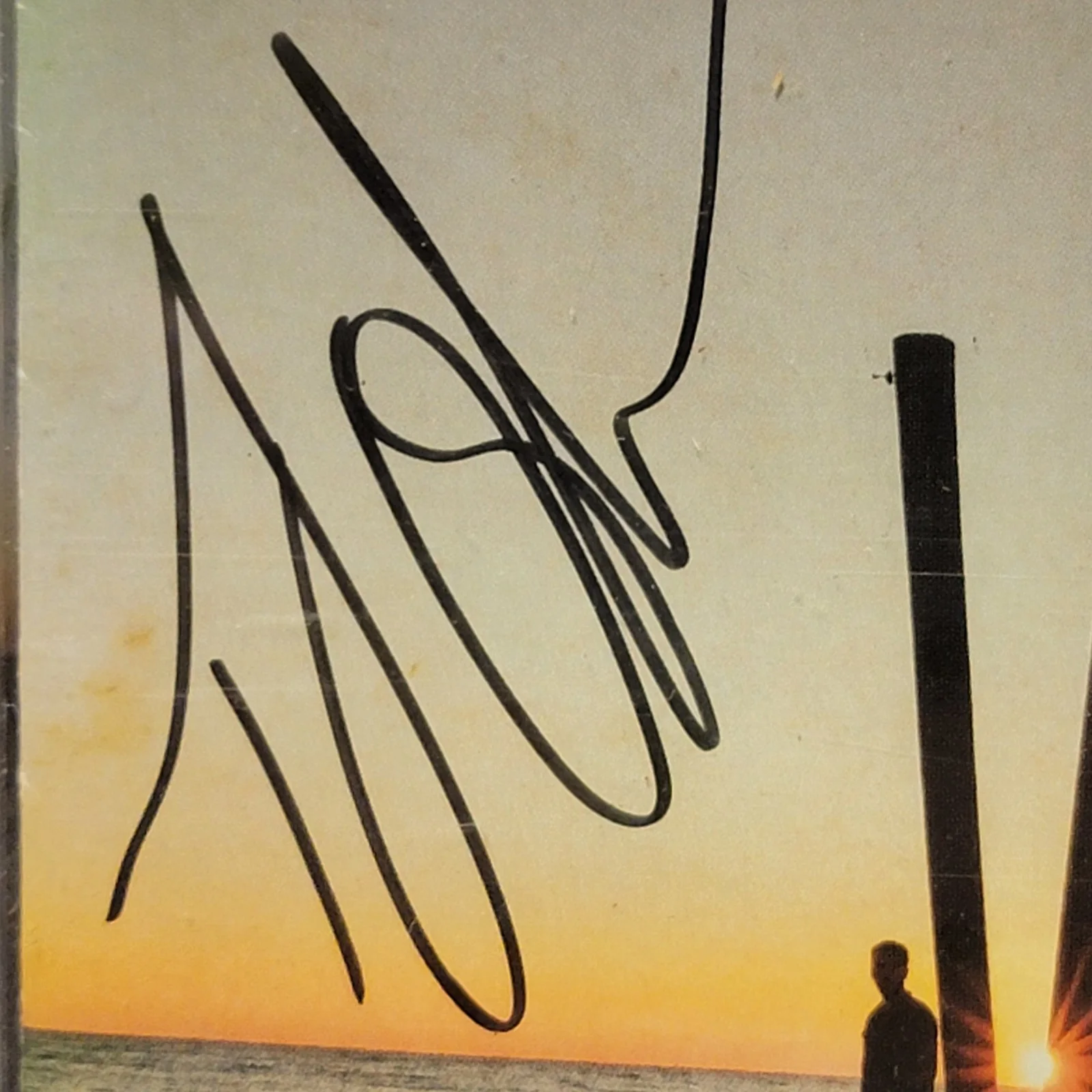 Brothers Osborne Signed Autograph "Port Saint Joe" 2018 CD W/Added Insert, изображение 3