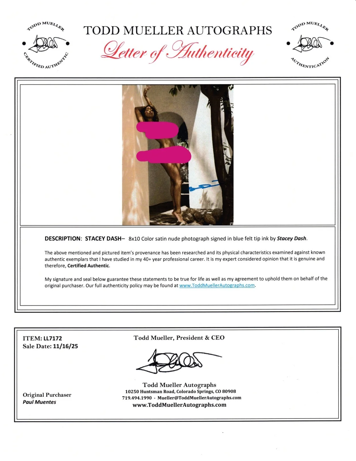 STACEY DASH — STACEY DASH AUTOGRAPH 8X10 SEXY COLOR PHOTO ACTRESS CLUELESS W/COA, изображение 2