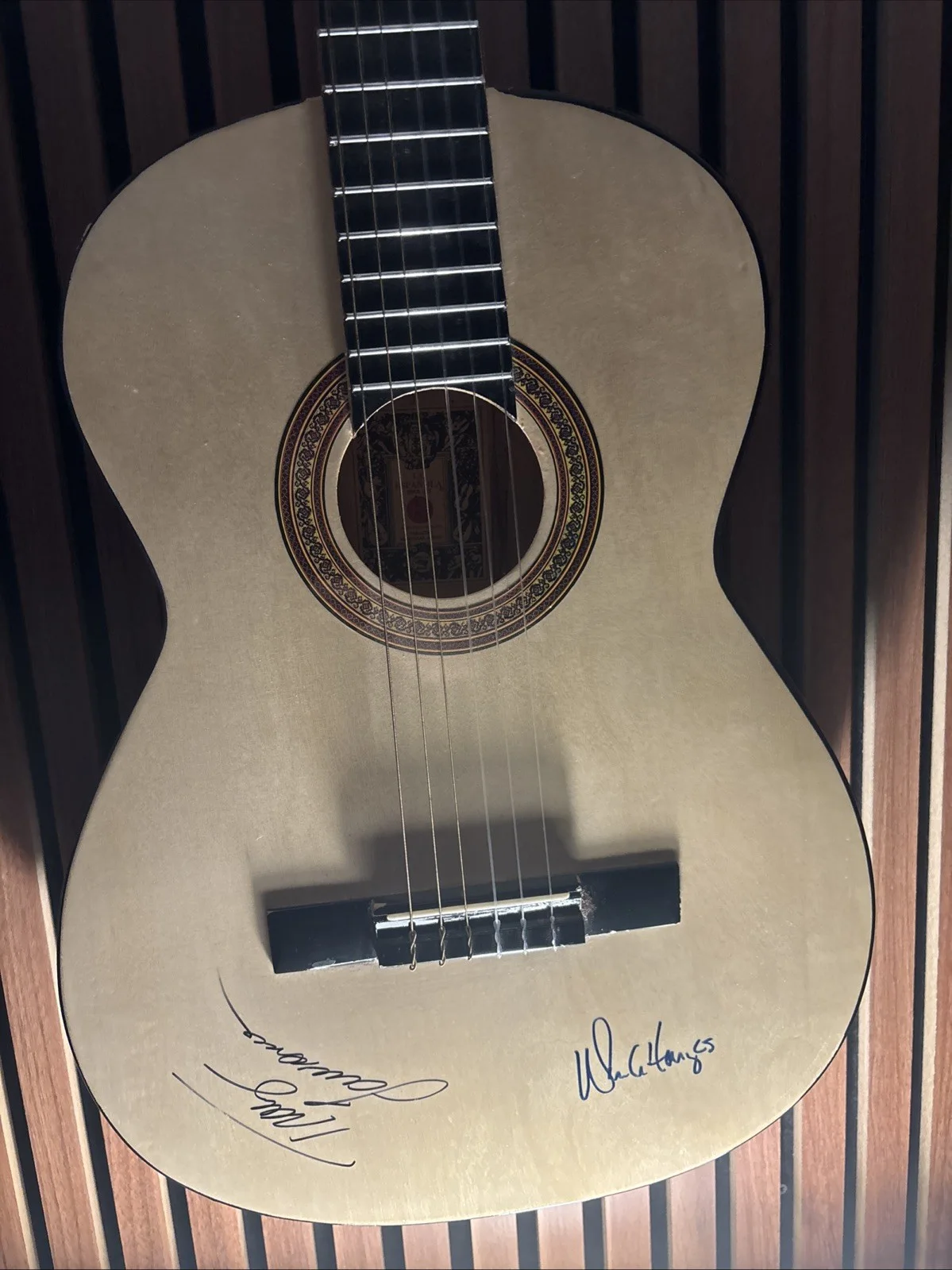 Tracy Lawrence Signed Hand Made La Espanola Guitar, изображение 2