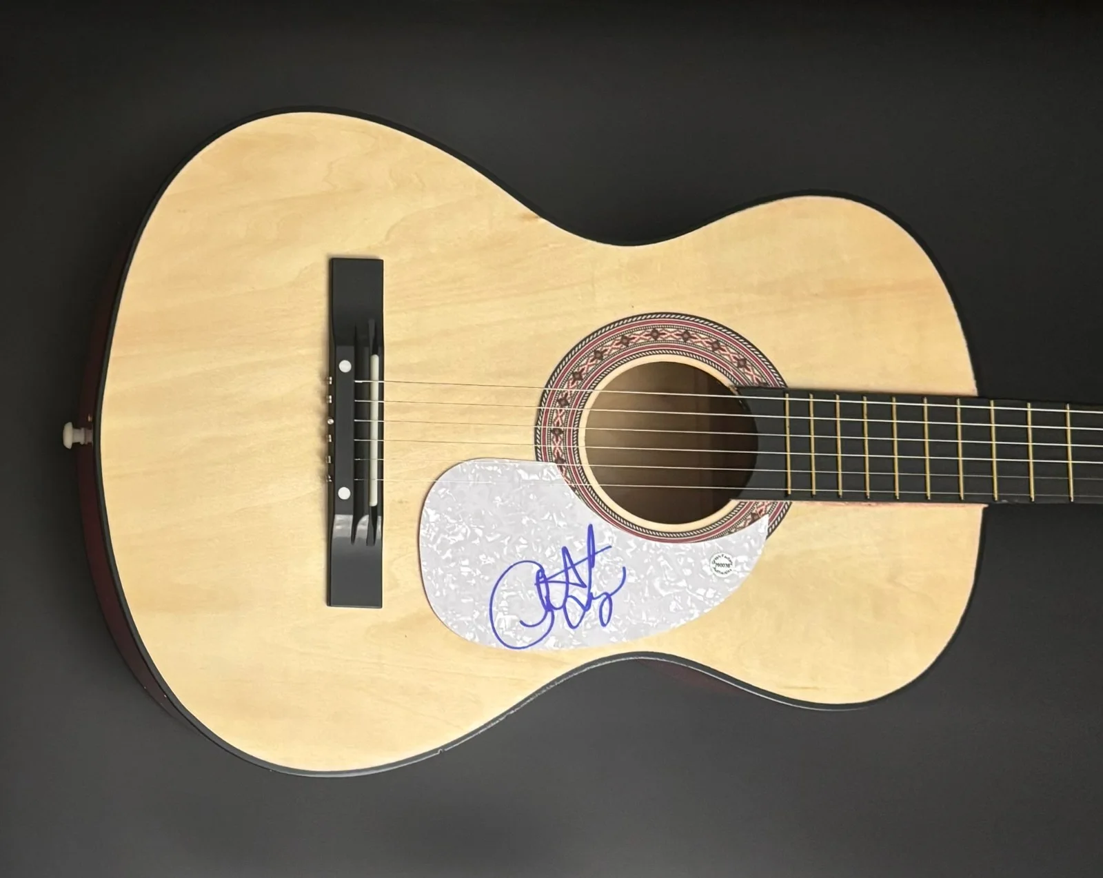 GFA Red Arrow Swim the River * CHRISTIAN LOPEZ * Signed Acoustic Guitar C4 COA, image 3