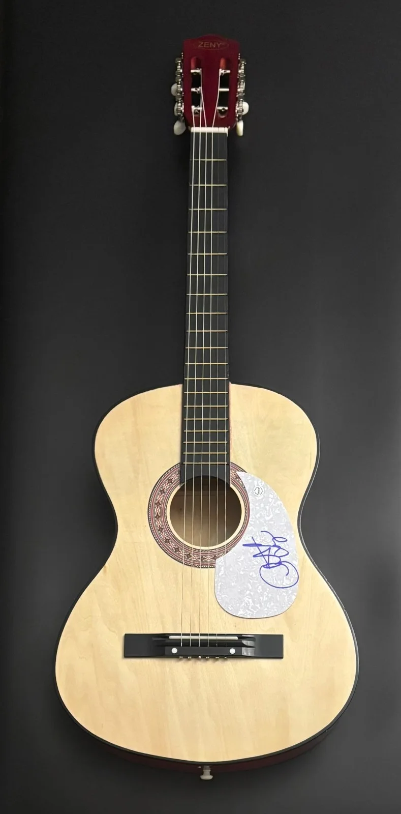 GFA Red Arrow Swim the River * CHRISTIAN LOPEZ * Signed Acoustic Guitar C4 COA, image 4