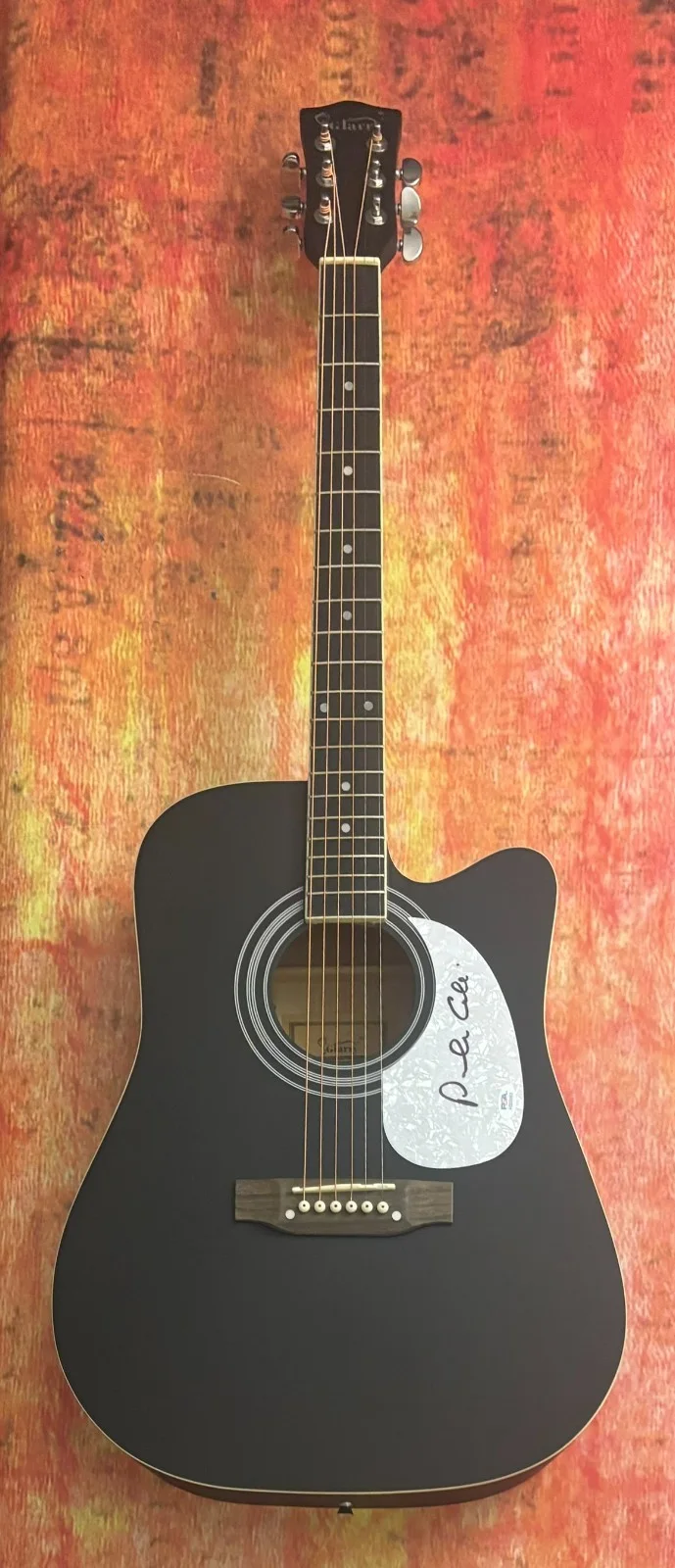 PSA I Don't Want to Wait * PAULA COLE * Signed 41" Acoustic Guitar PROOF COA, изображение 4
