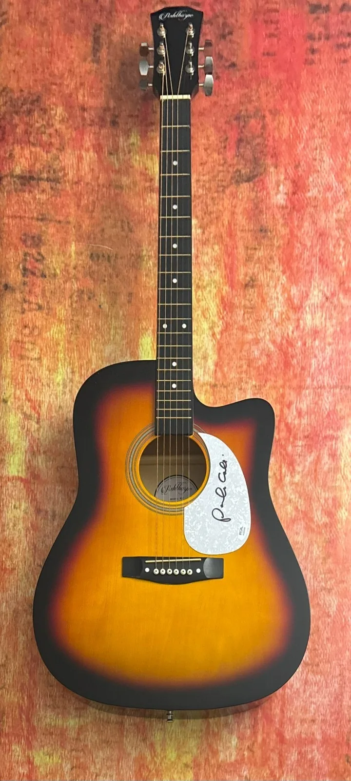 PSA I Don't Want to Wait * PAULA COLE * Signed 41" Acoustic Guitar PROOF COA, image 5