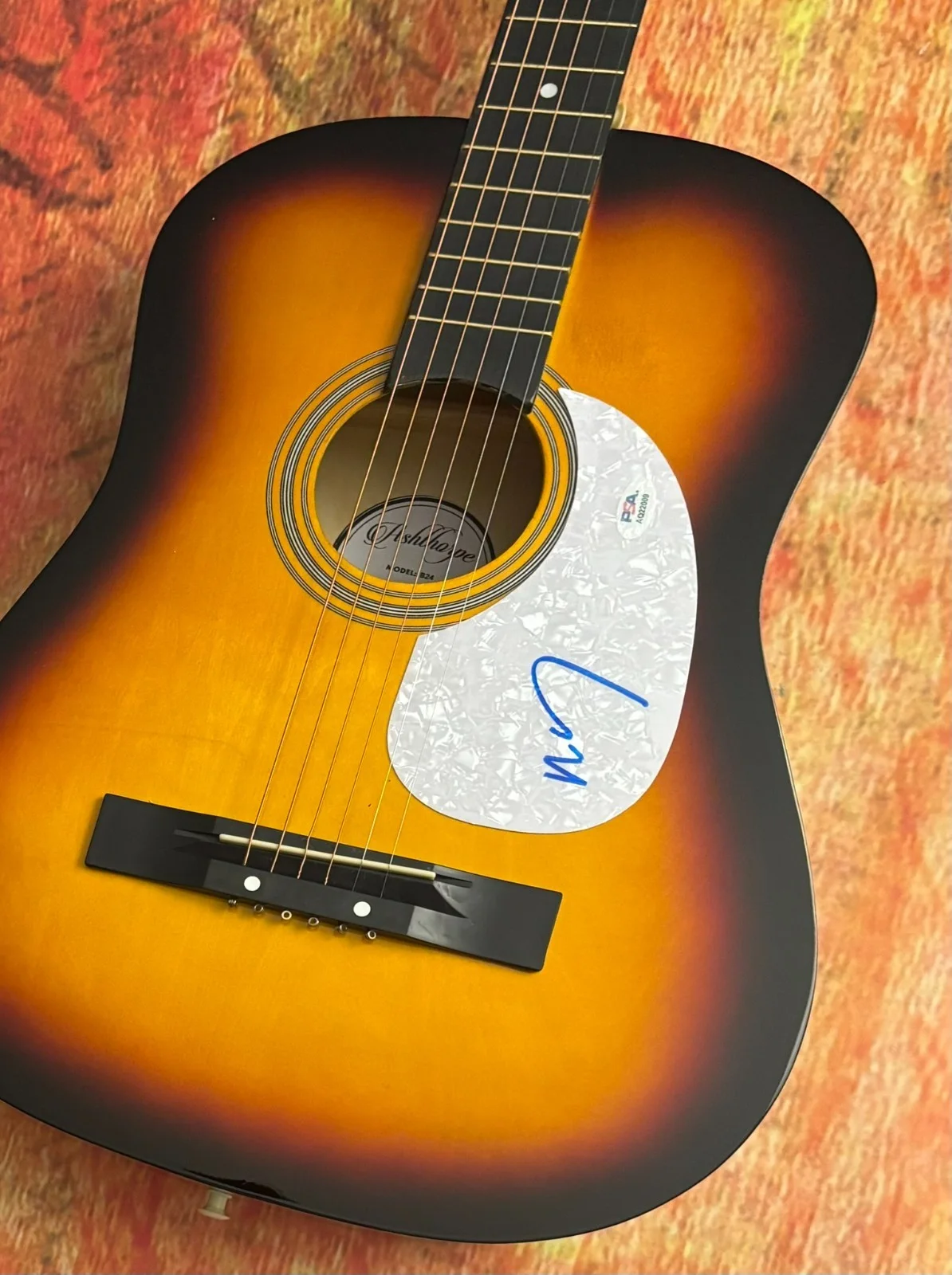 PSA The Lumineers Band Singer * WESLEY SCHULTZ * Signed Acoustic Guitar COA, image 4