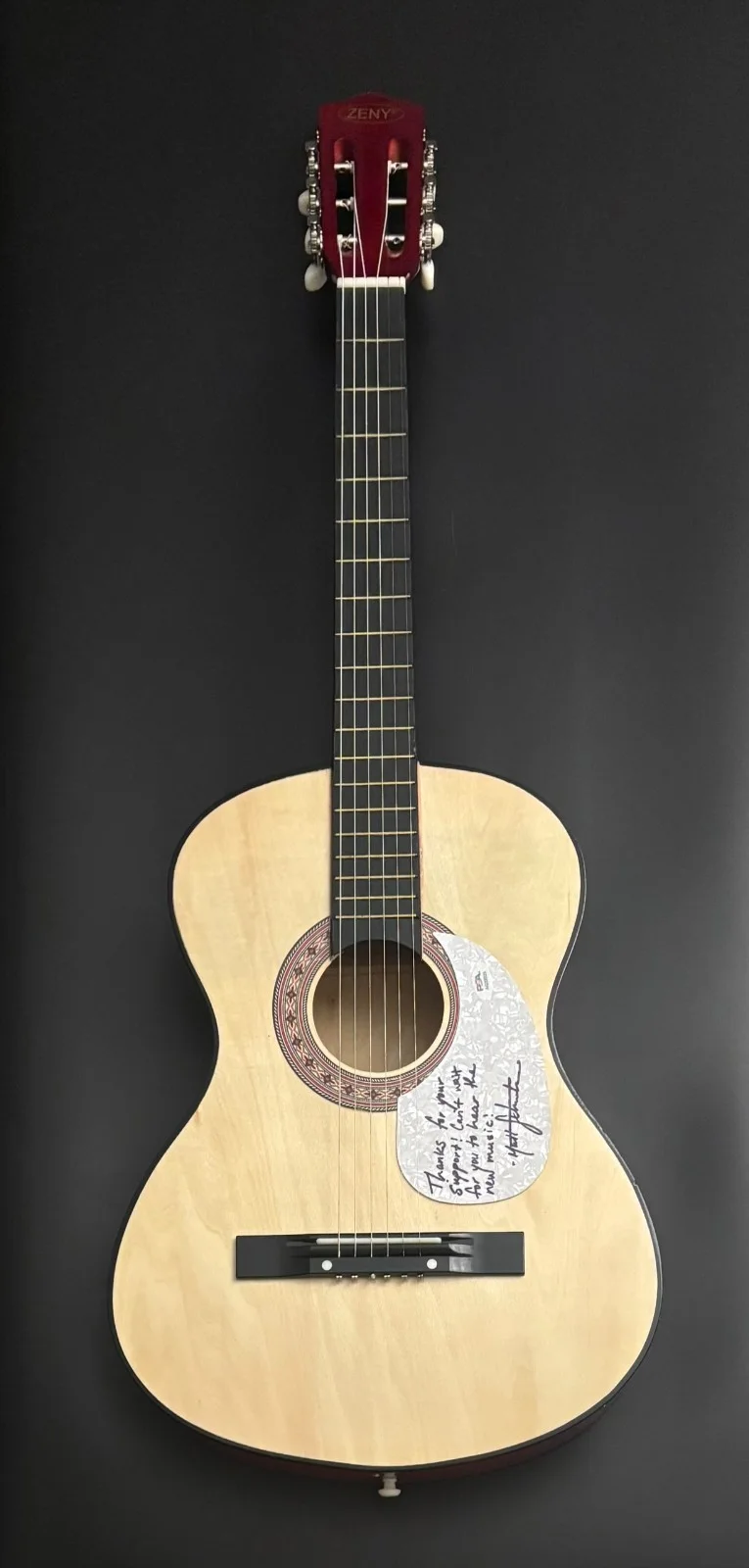 PSA Vienna Country Singer * MATT SCHUSTER * Signed Acoustic Guitar COA, изображение 3