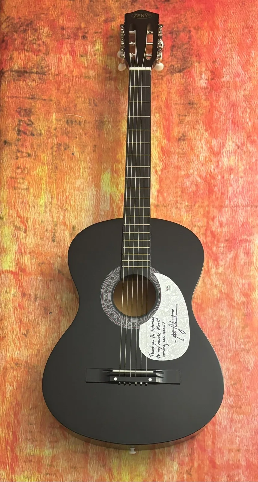 PSA Vienna Country Singer * MATT SCHUSTER * Signed Acoustic Guitar COA, изображение 3