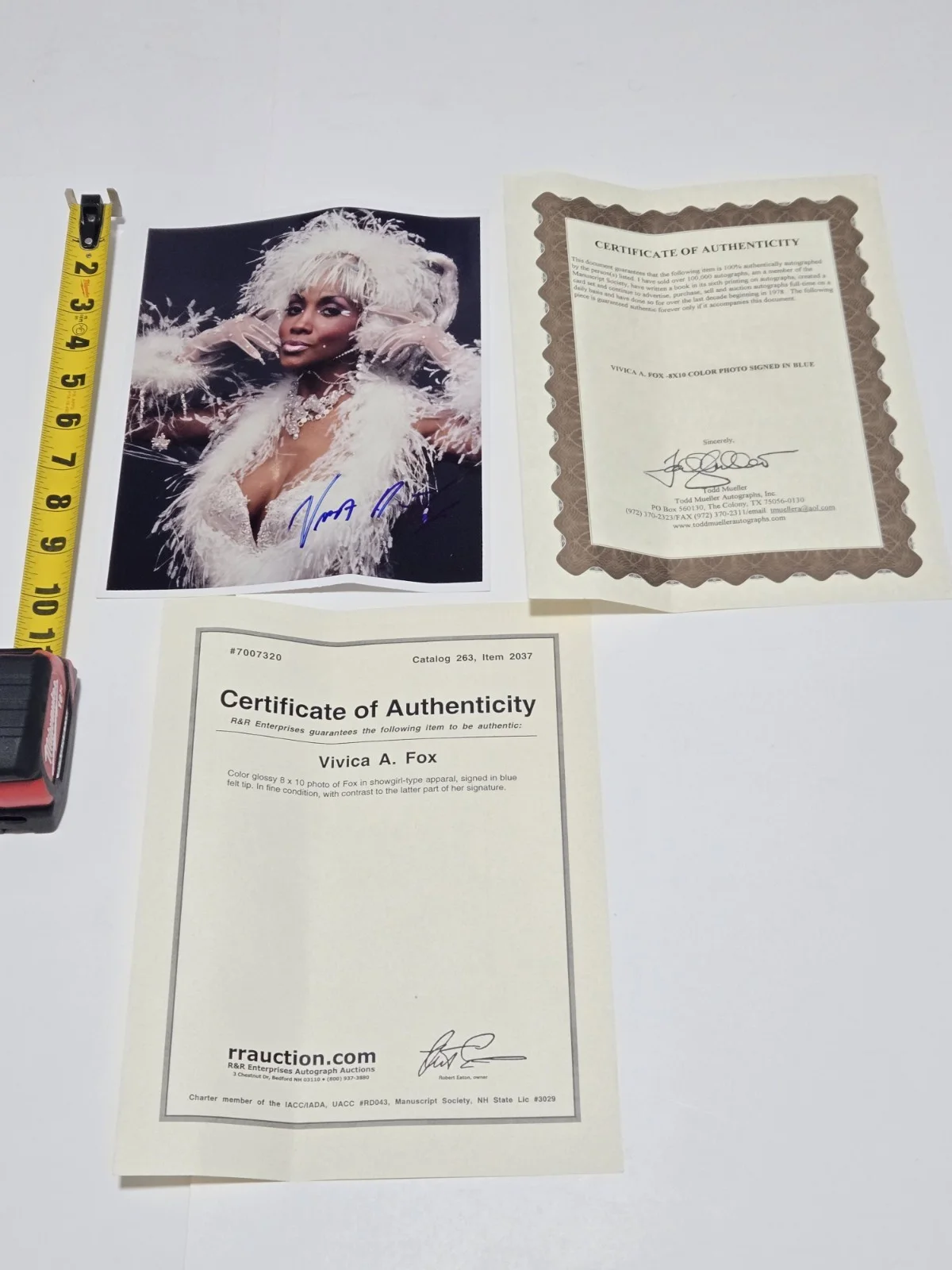 VIVICA A. FOX — VIVICA A. FOX ACTRESS CELEBRITY Signed Autographed 8x10 Photo Showgirl With COA