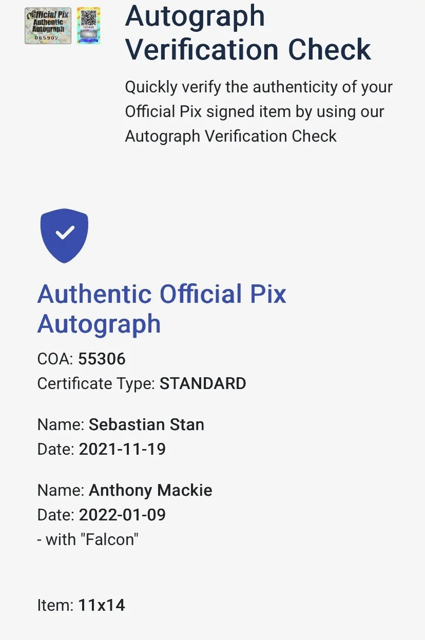 Anthony Mackie, Sebastain Stan — The Falcon & The Winter Soldier - Mackie & Stan Signed 11x14 Official Pix Photo, изображение 2