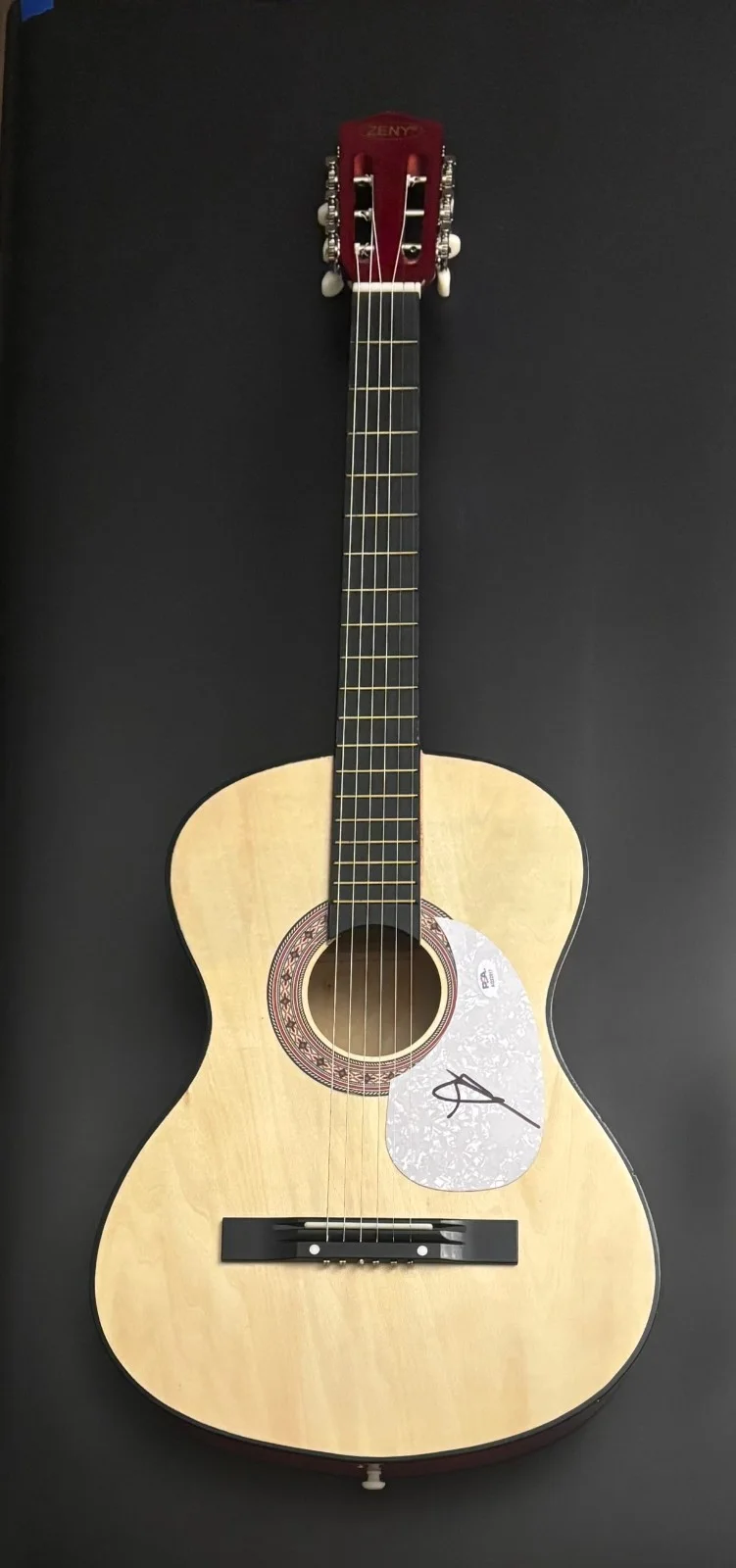 PSA Best Shot Country Star * JIMMIE ALLEN * Signed Acoustic Guitar COA, изображение 3