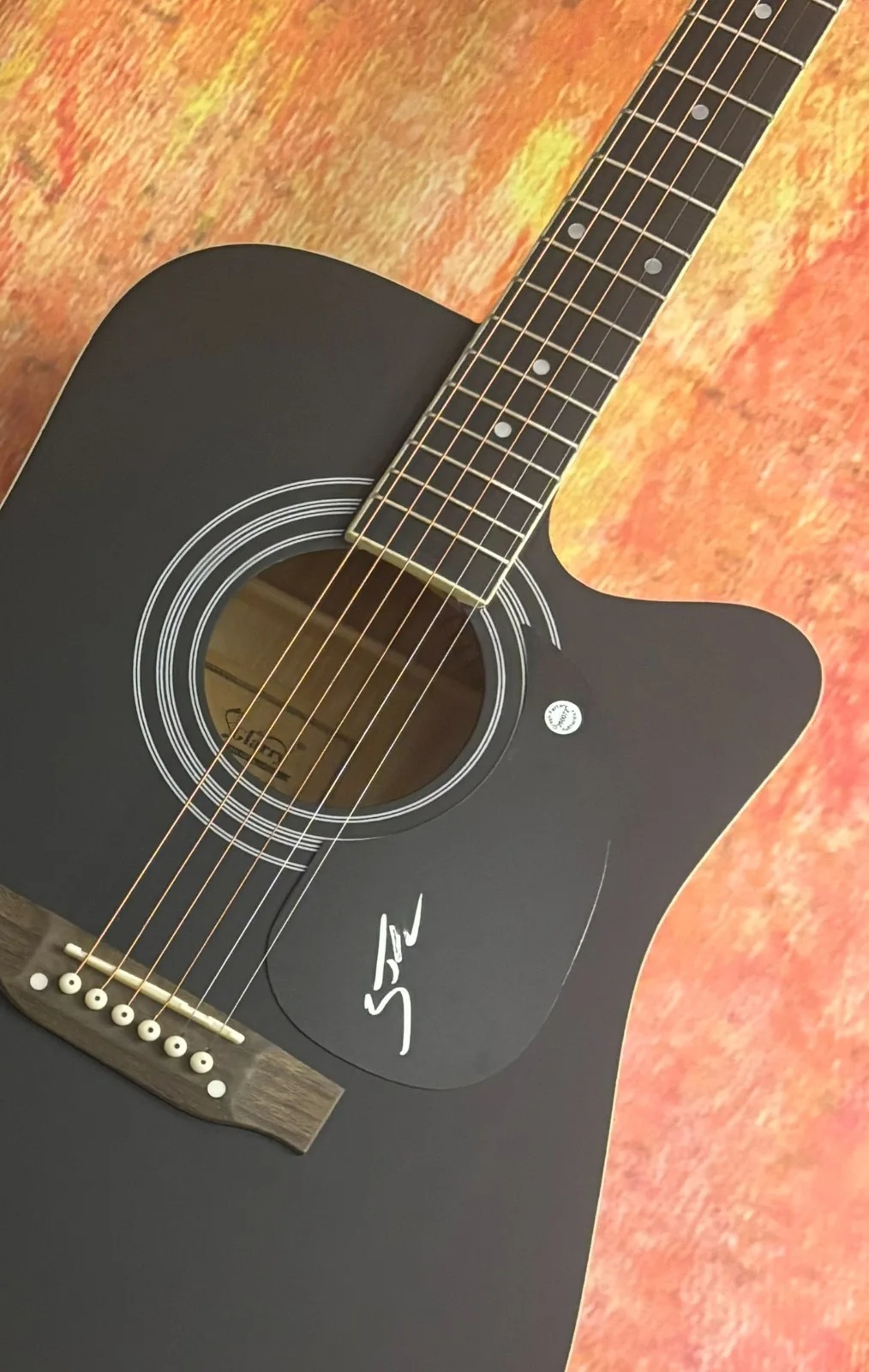 GFA Slow Down Lose You Star * ZACH JOHN KING * Signed 41" Acoustic Guitar COA, изображение 4