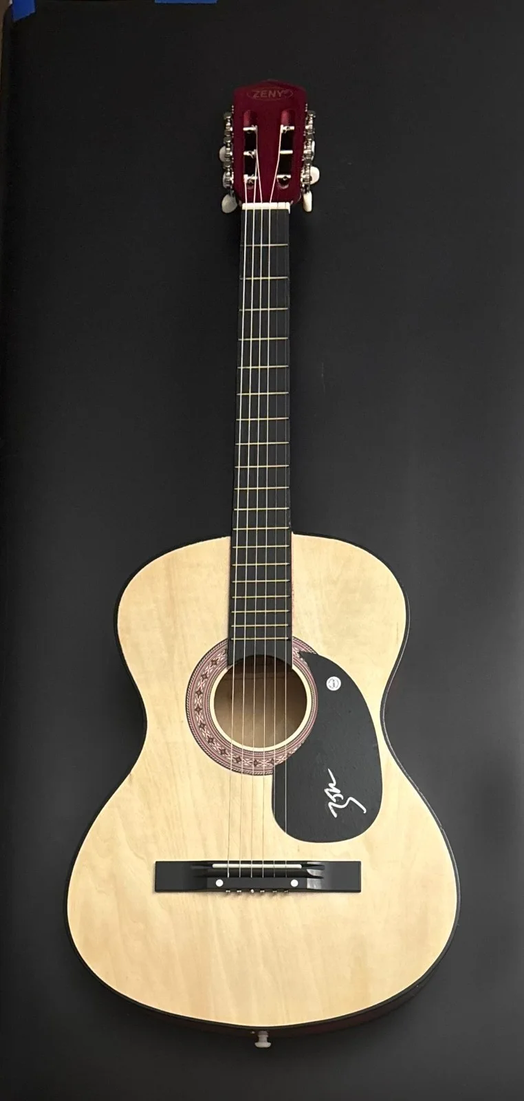 GFA Slow Down Lose You Star * ZACH JOHN KING * Signed Acoustic Guitar COA, изображение 2