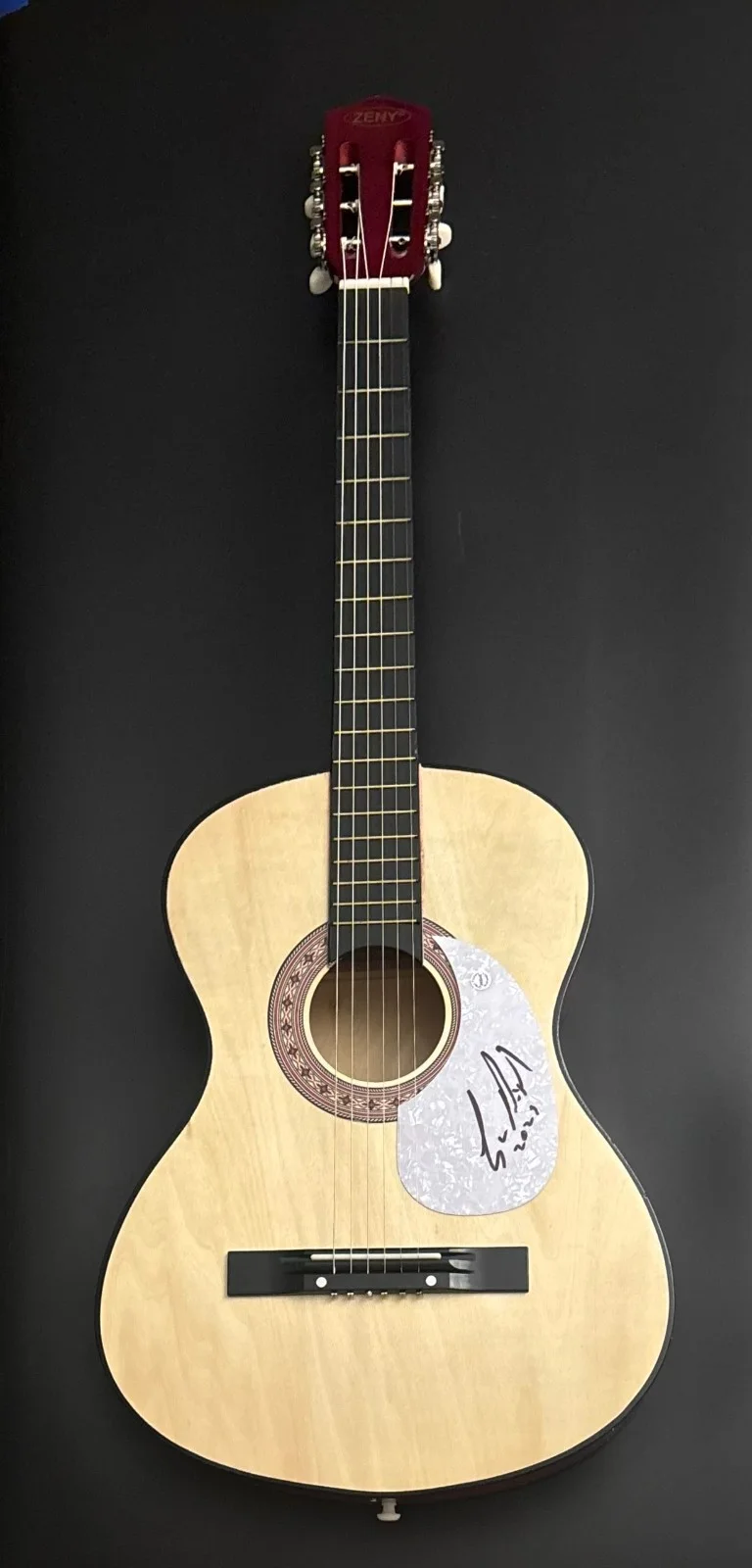 GFA The Voice Season 7 Winner * CRAIG WAYNE BOYD * Signed Acoustic Guitar COA, изображение 3