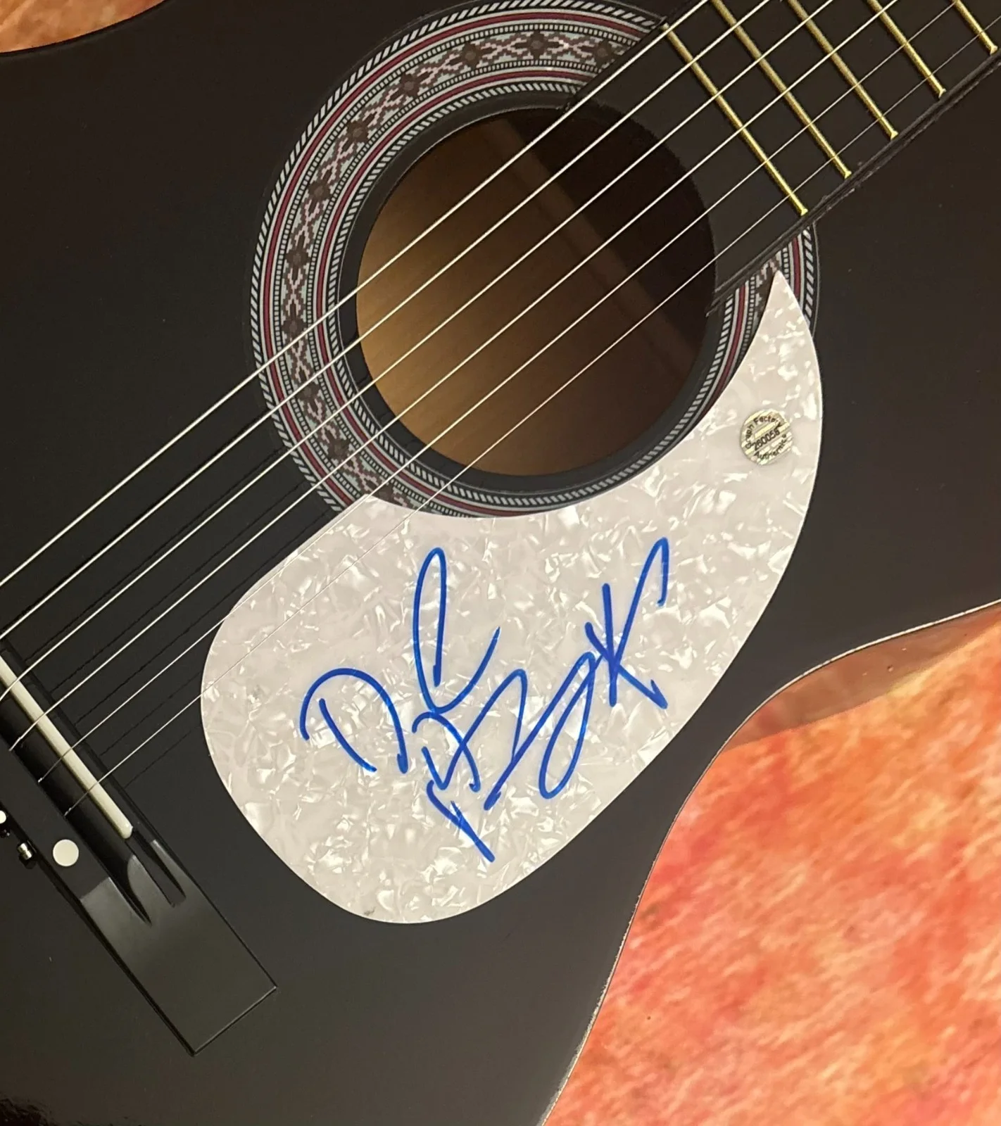 GFA Mama Can't Help You Singer * DOYLE BRAMHALL II * Signed Acoustic Guitar COA, изображение 5