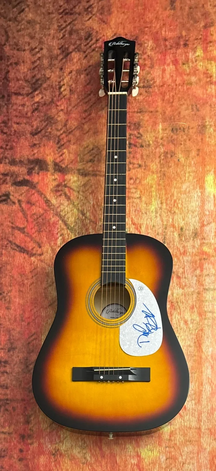 GFA Mama Can't Help You Singer * DOYLE BRAMHALL II * Signed Acoustic Guitar COA, изображение 2