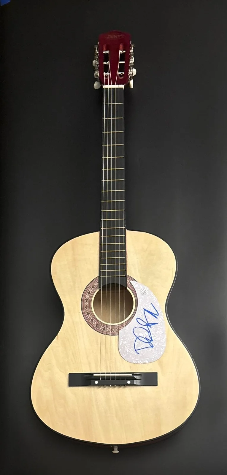 GFA Mama Can't Help You Singer * DOYLE BRAMHALL II * Signed Acoustic Guitar COA, image 2