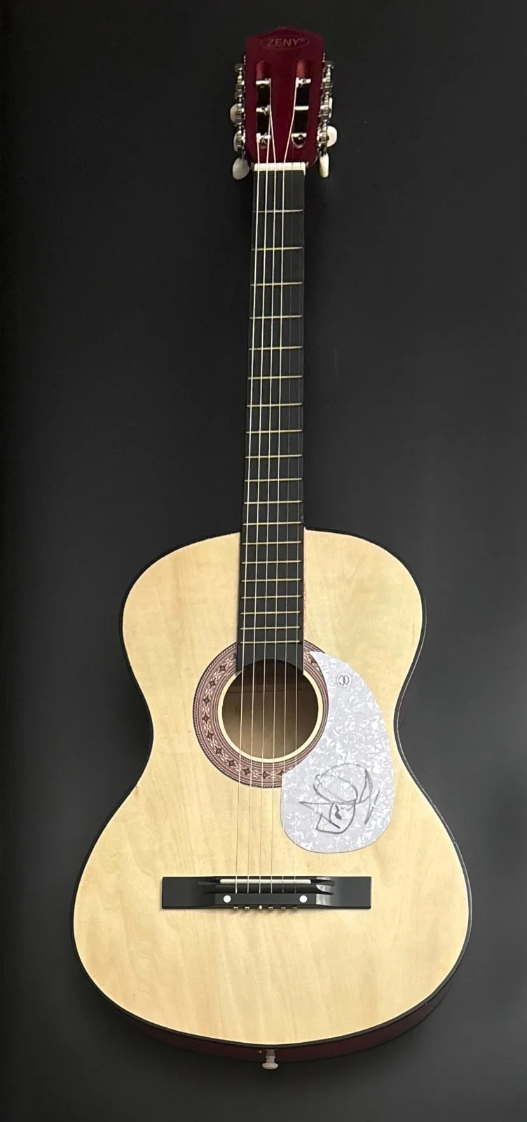 GFA Savatage Band Frontman * JON OLIVA * Signed Acoustic Guitar PROOF COA, image 2