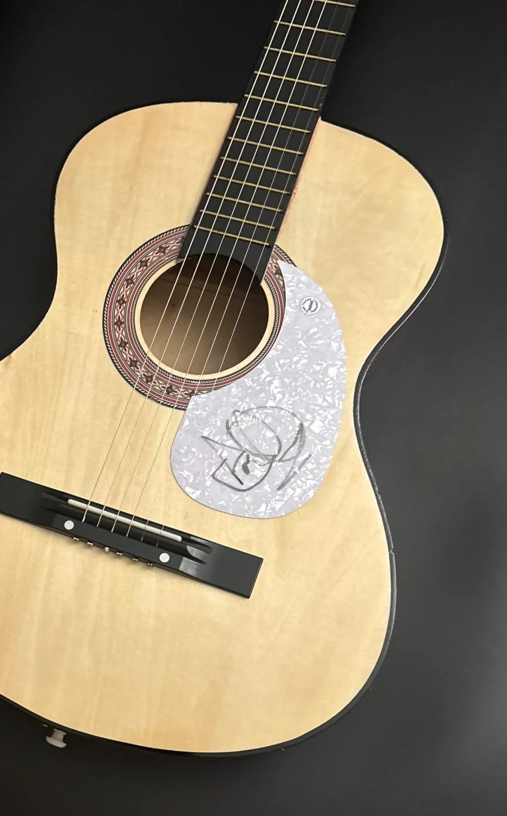 GFA Savatage Band Frontman * JON OLIVA * Signed Acoustic Guitar PROOF COA, image 3