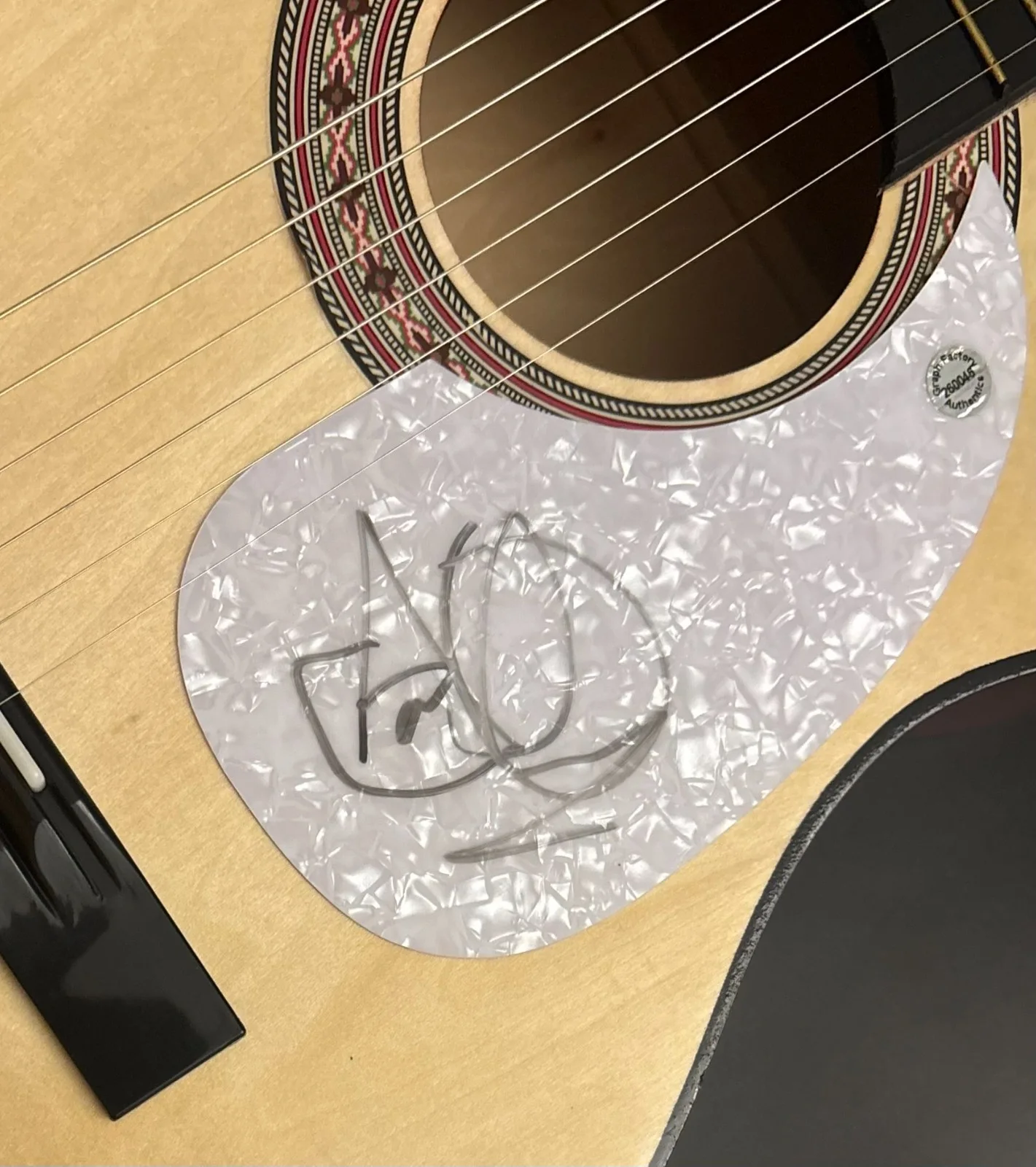 GFA Savatage Band Frontman * JON OLIVA * Signed Acoustic Guitar PROOF COA, image 5