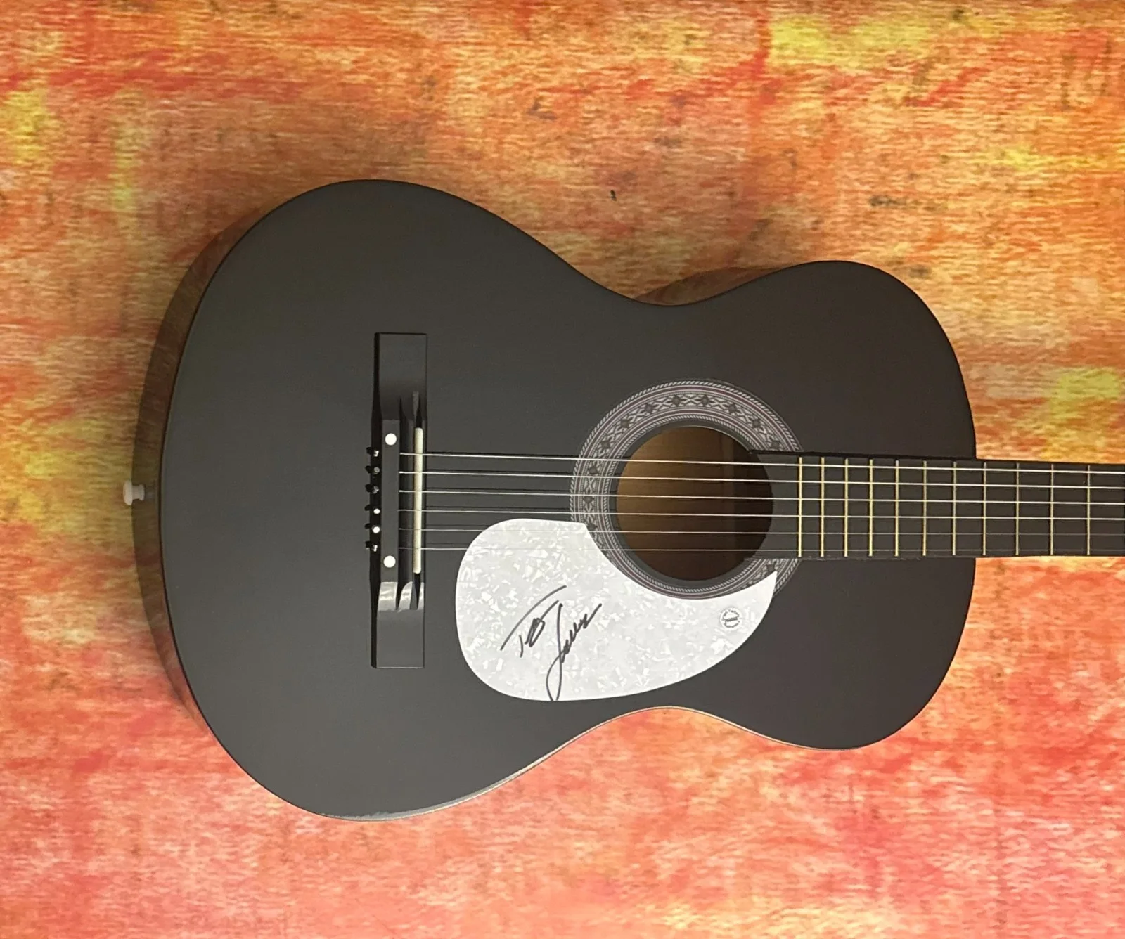 GFA Paint Me a Birmingham * TRACY LAWRENCE * Signed Acoustic Guitar PROOF COA, изображение 5