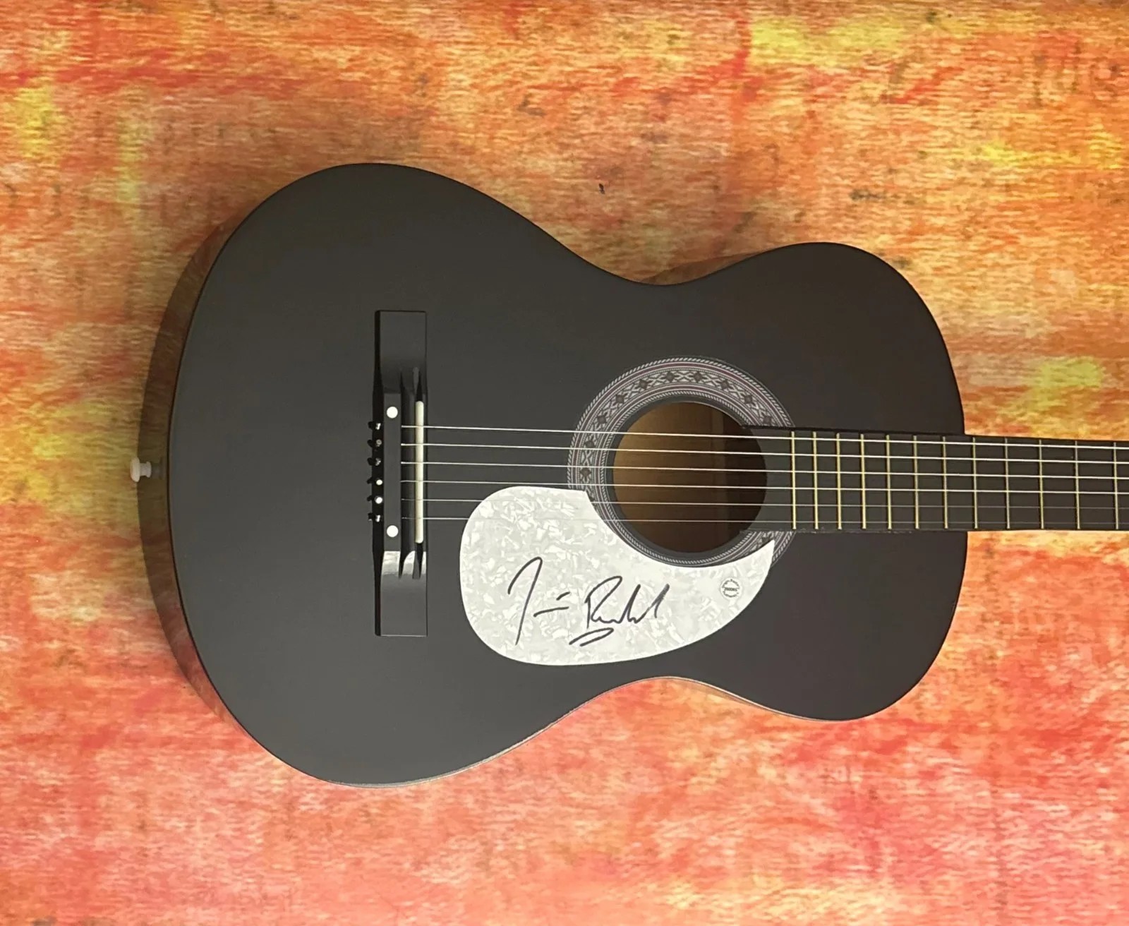GFA The Blues Brothers * JIM BELUSHI * Signed Acoustic Guitar J5 COA, изображение 2