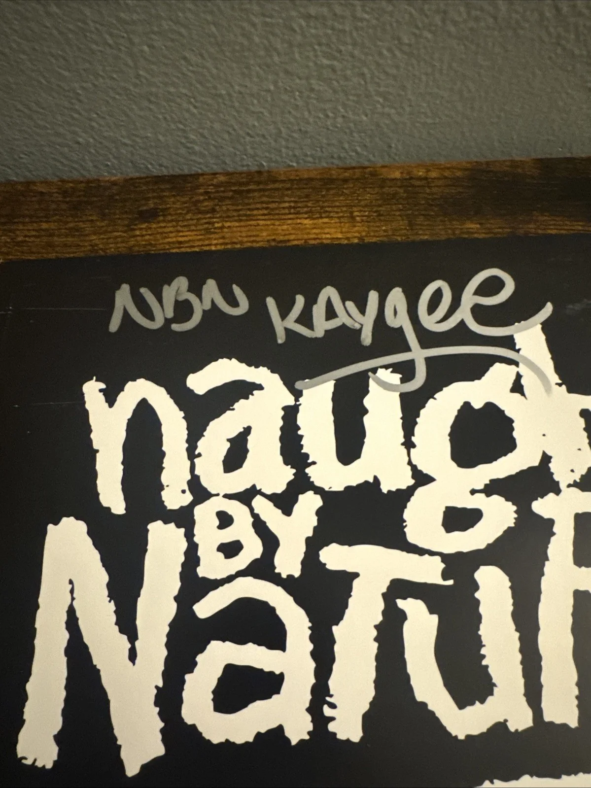 TREACH VIN Rock Kay Gee SIGNED The Naughtiest VINYL AUTOGRAPH NAUGHTY BY NATURE, изображение 5