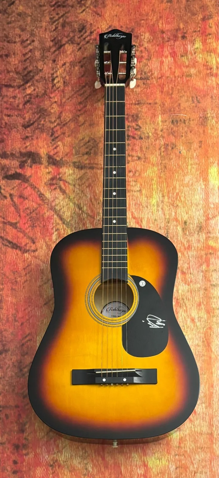 GFA Wild World She's Mine * KIP MOORE * Signed Acoustic Guitar PROOF COA, изображение 4