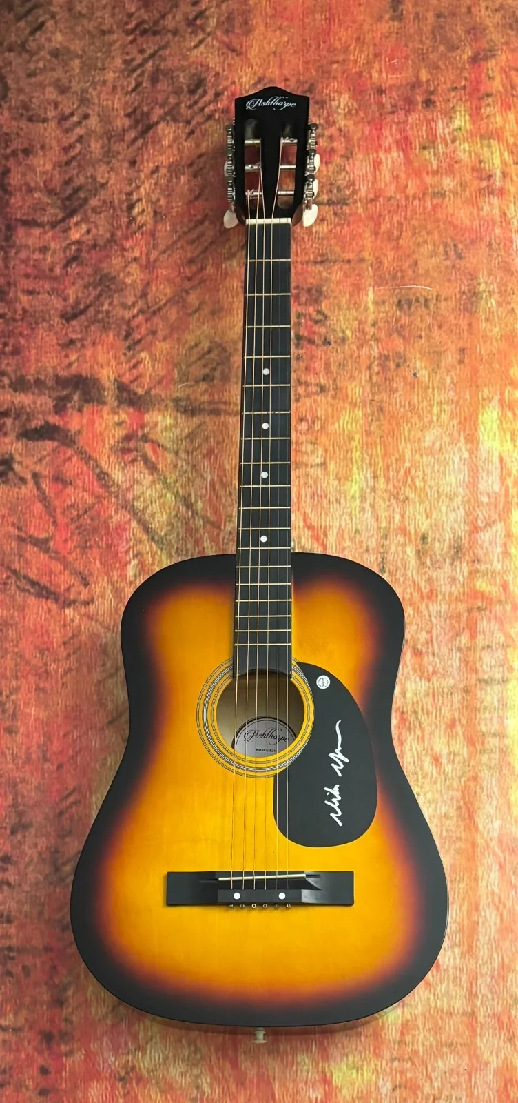 GFA Good Time & Paradise to Me * NIKO MOON * Signed Acoustic Guitar PROOF COA, image 4