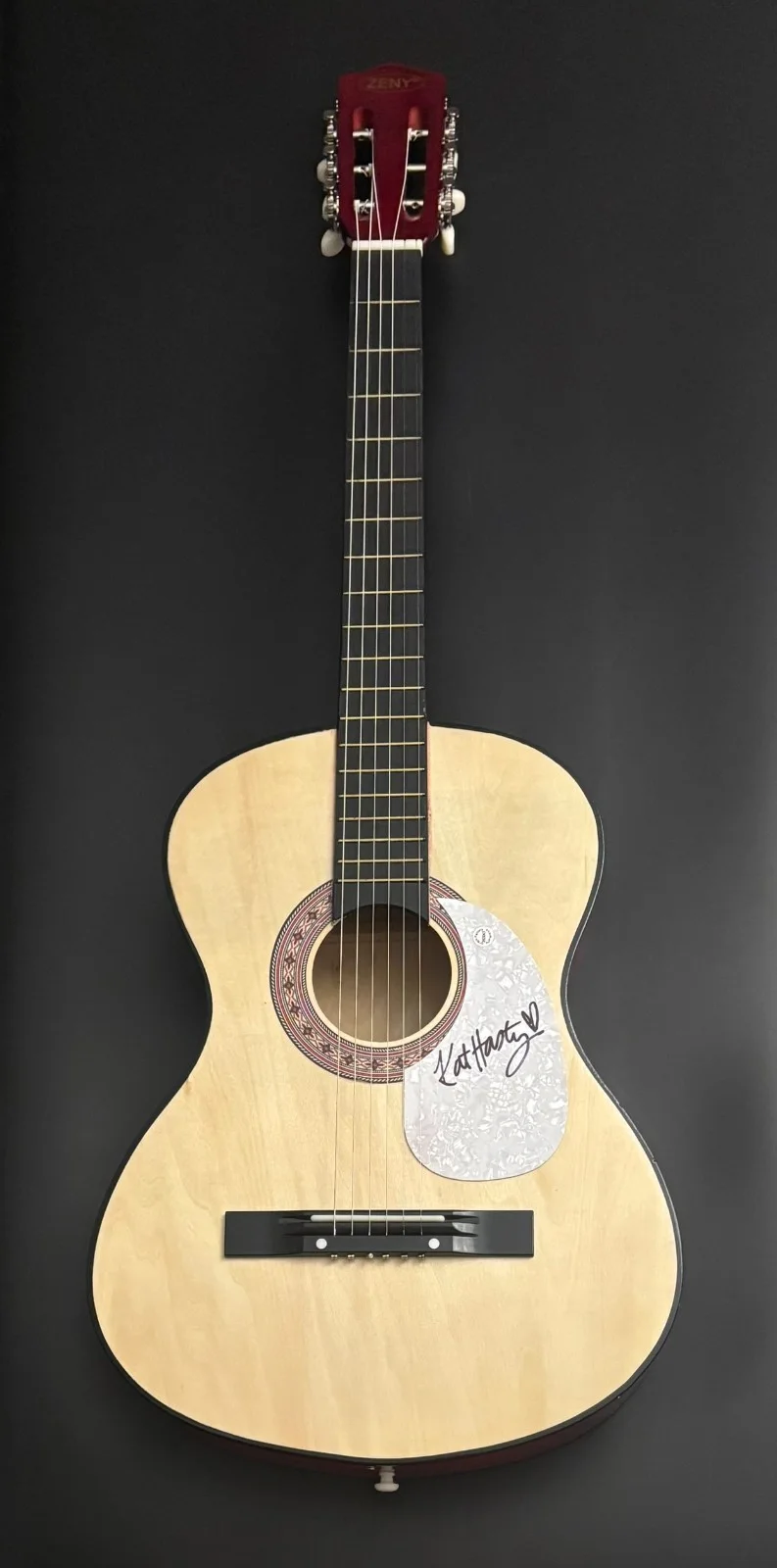 GFA Drowning in Dreams Pretty Things * KAT HASTY * Signed Acoustic Guitar K5 COA, изображение 2