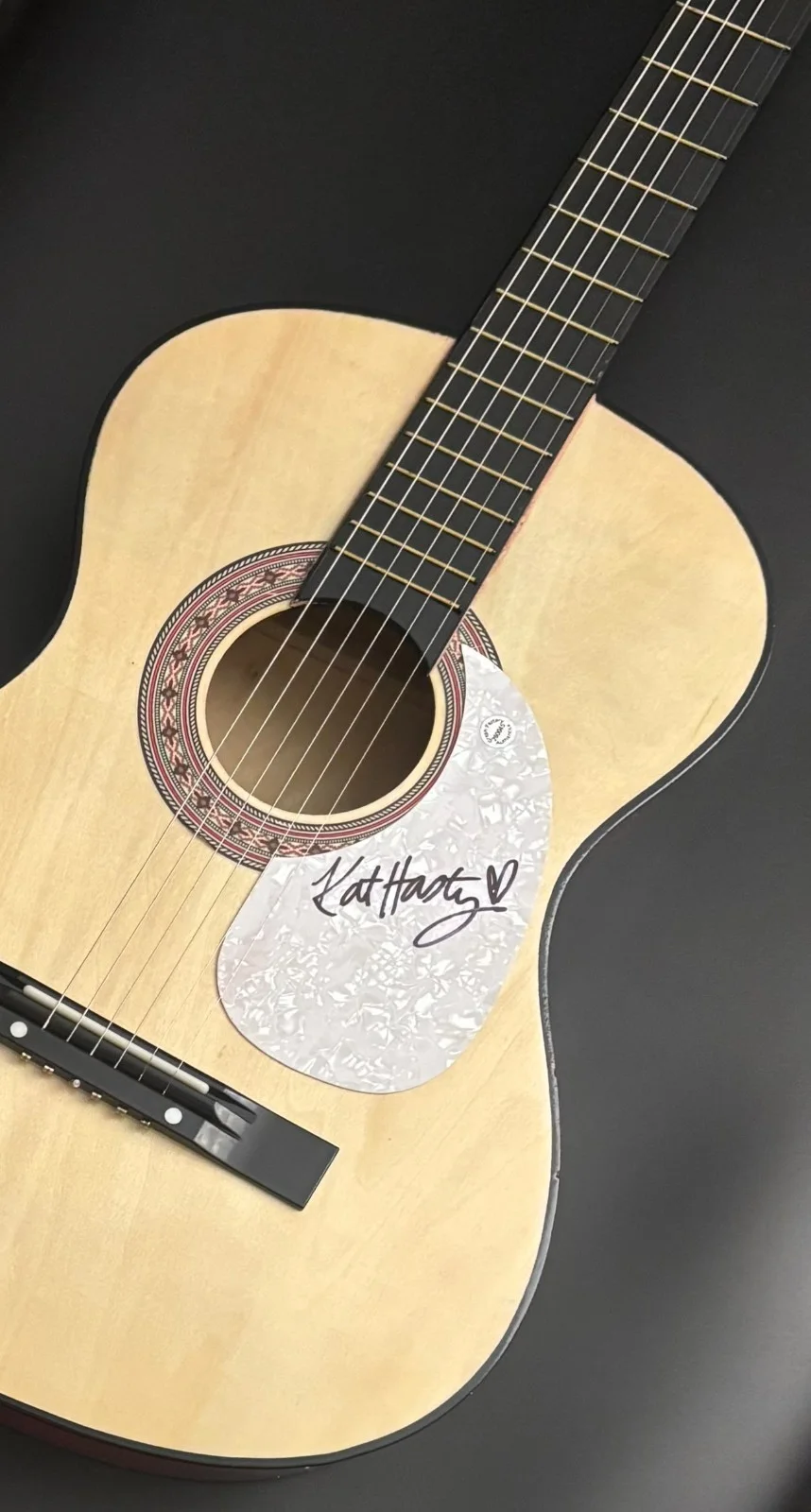 GFA Drowning in Dreams Pretty Things * KAT HASTY * Signed Acoustic Guitar K5 COA, изображение 3