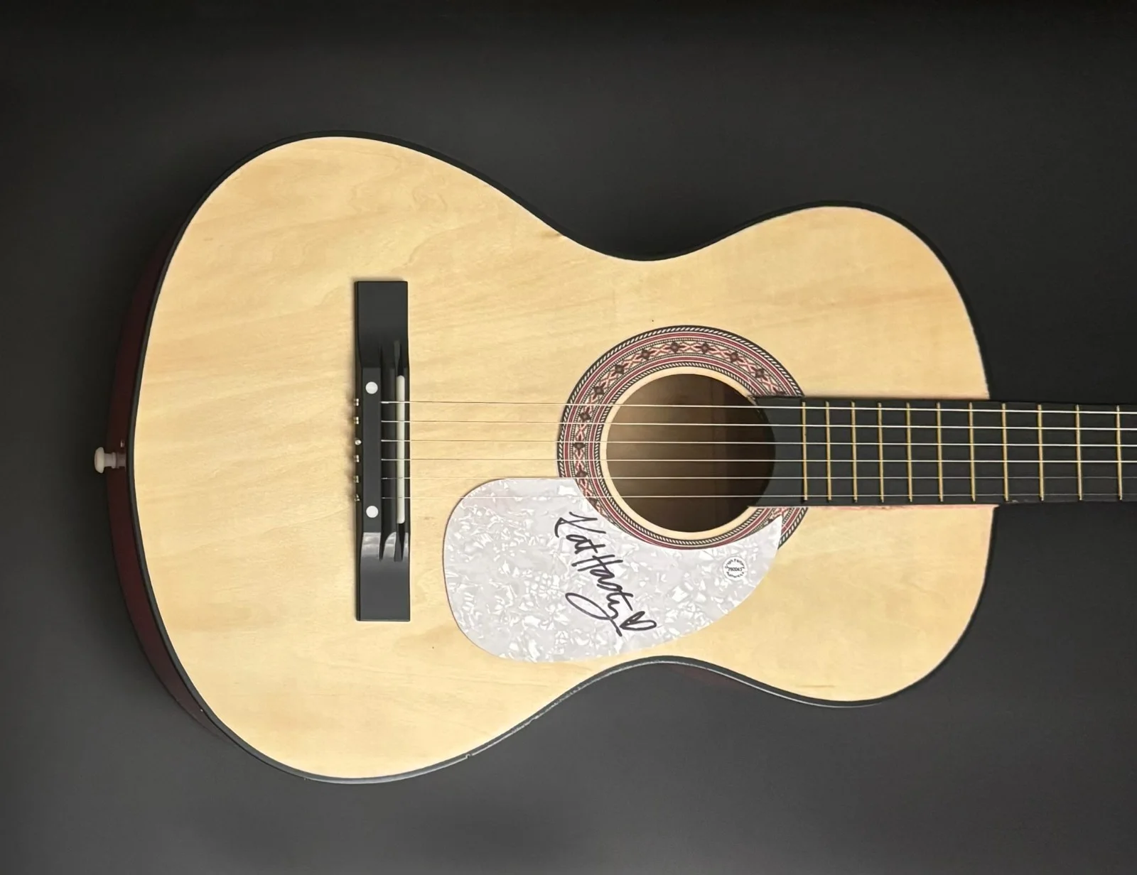 GFA Drowning in Dreams Pretty Things * KAT HASTY * Signed Acoustic Guitar K5 COA, изображение 4