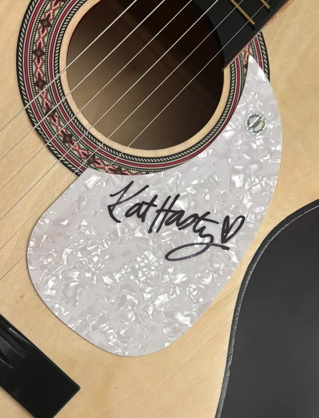 GFA Drowning in Dreams Pretty Things * KAT HASTY * Signed Acoustic Guitar K5 COA, изображение 5
