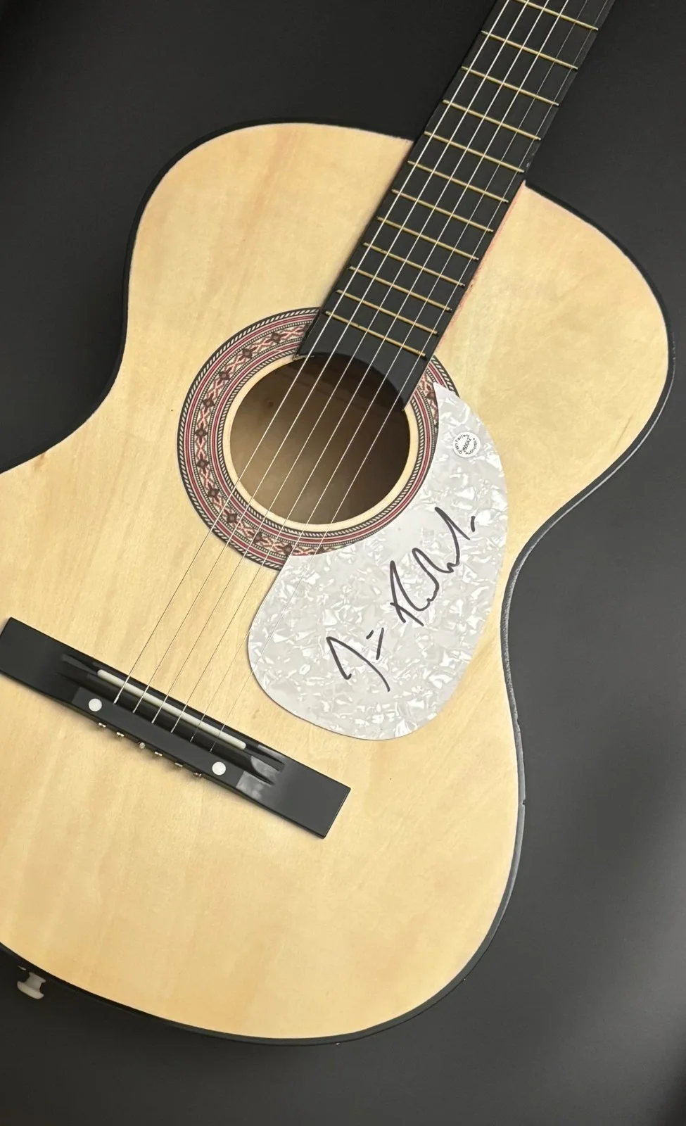 GFA The Blues Brothers * JIM BELUSHI * Signed Acoustic Guitar J4 COA, изображение 3