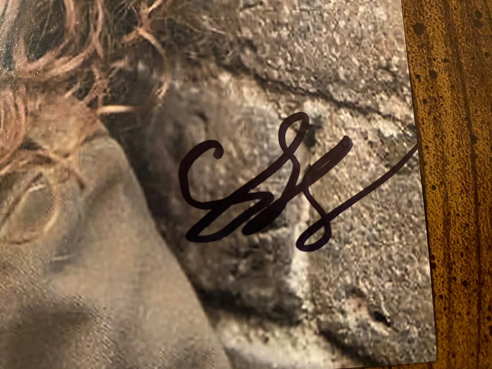 Scarlet Spencer — Scarlet Spencer Signed Autographed Photo With COA Cousins For Life Bright Etc, image 2