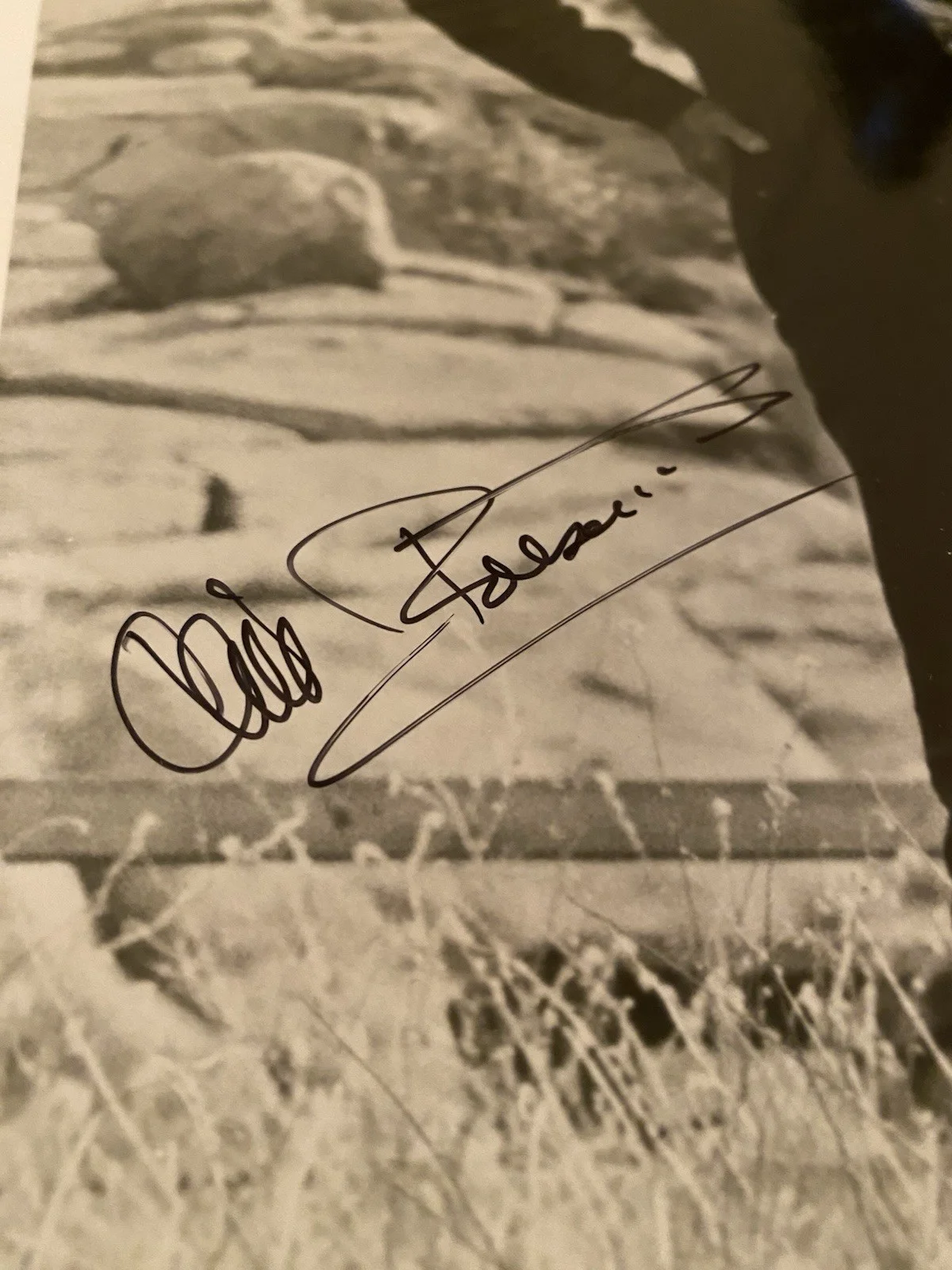 Cliff Robertson — Cliff Robertson Signed Autographed Photo With COA Batman 66 Twilight Zone Falcon, изображение 3