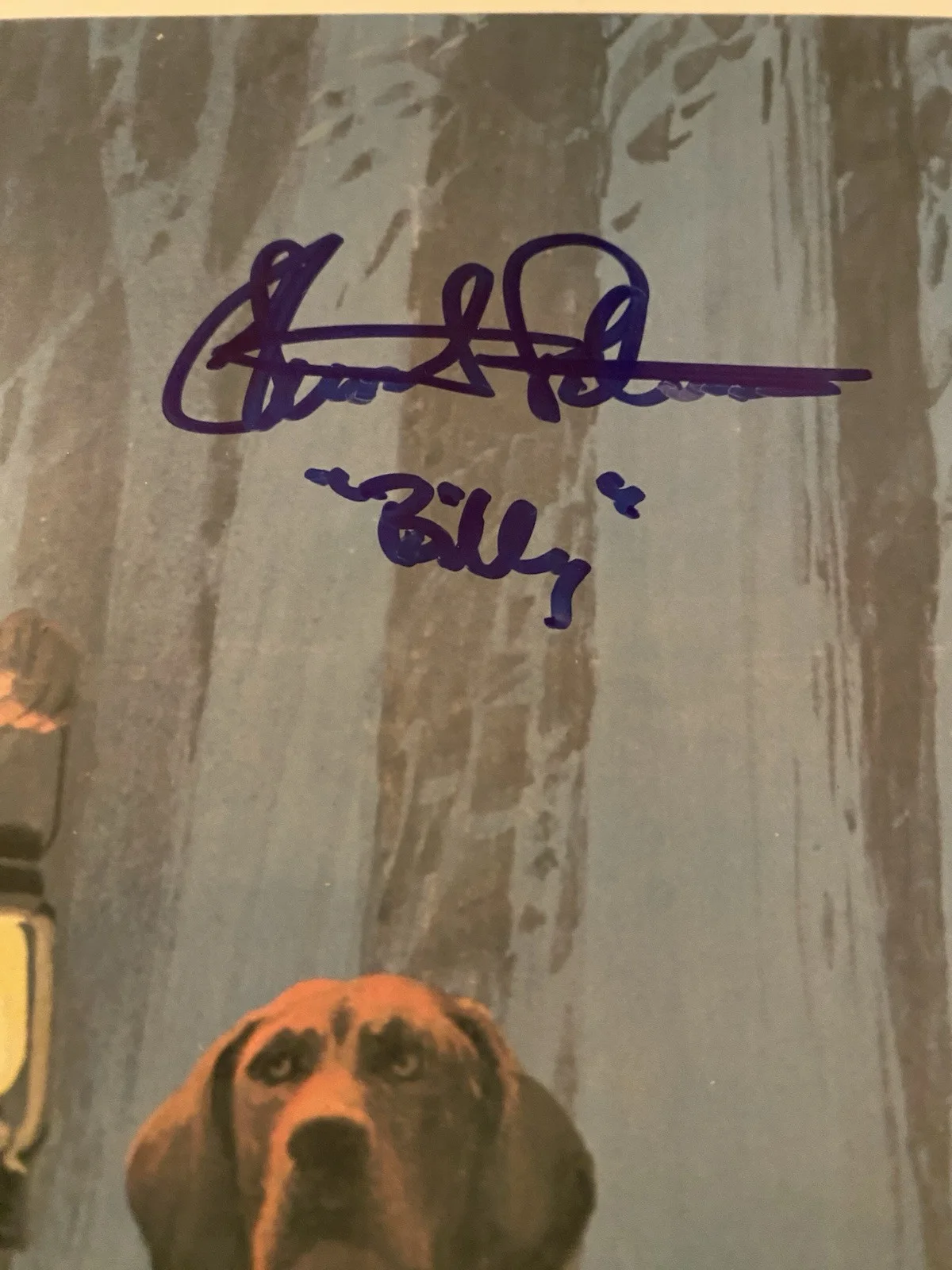 Stewart Petersen — Stewart Petersen Signed Autographed Poster With COA Where The Red Fern Grows, изображение 3