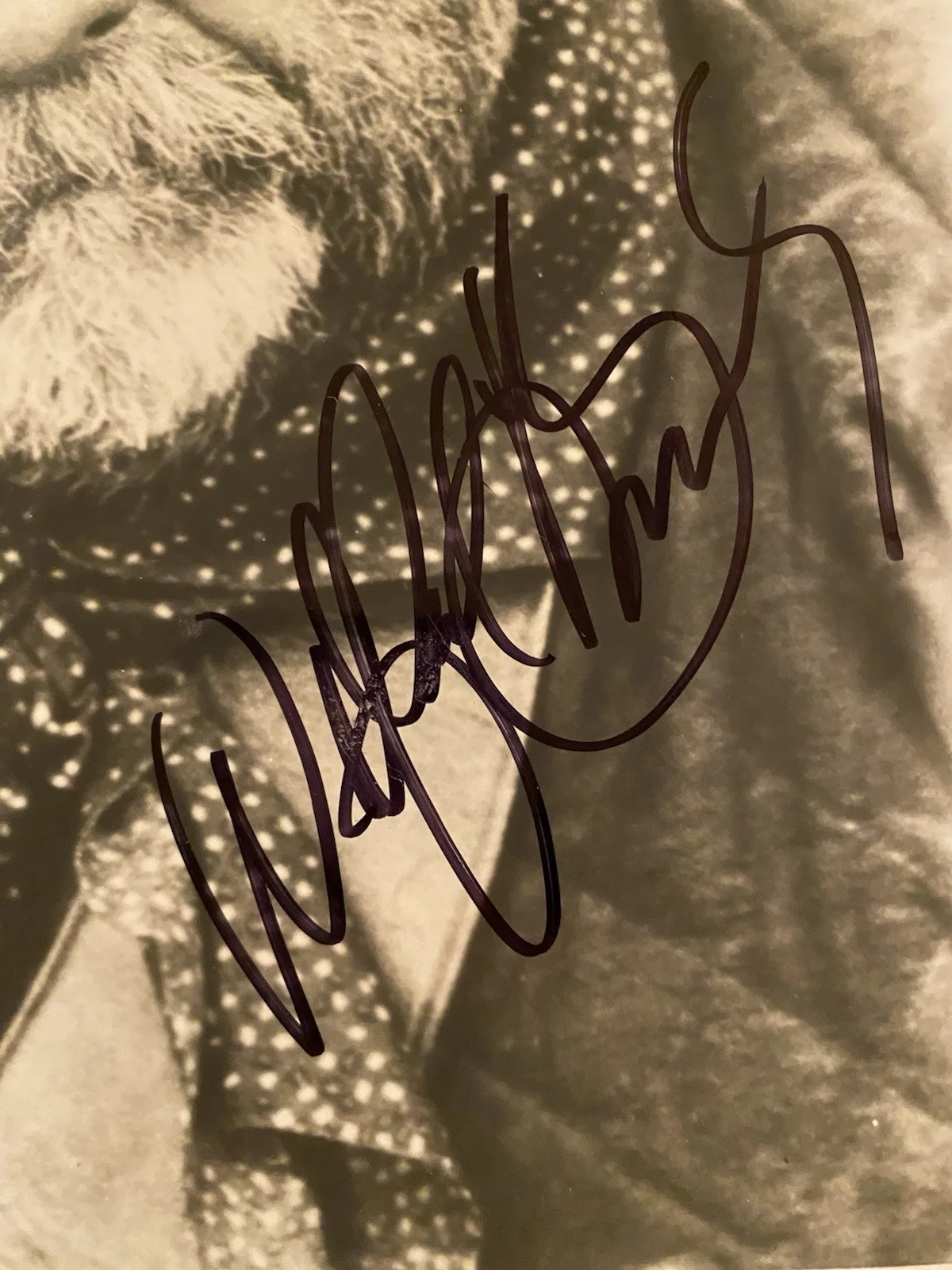Wilford Brimley — Wilford Brimley Signed Autographed Photo With COA The Firm Cocoon The Natural, изображение 2