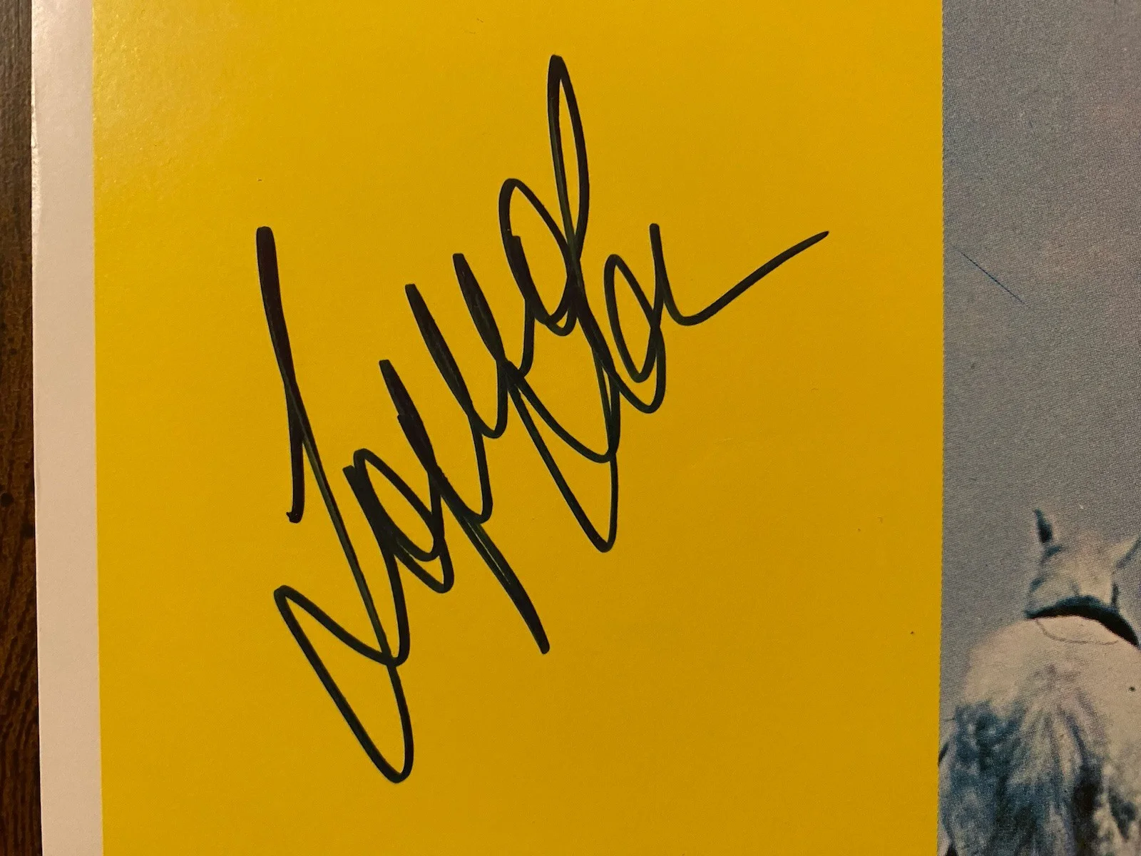 Sophia Loren — Sophia Loren Signed Autographed 14x11 Lobby Card Man Of La Mancha With COA, изображение 2