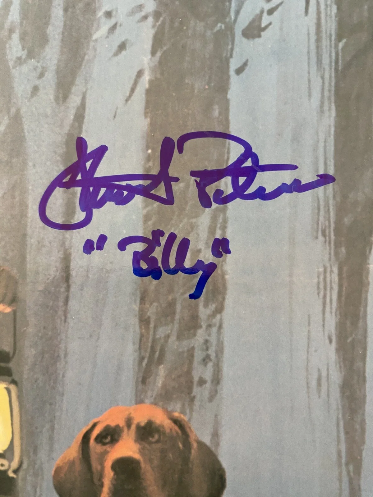 Stewart Petersen — Stewart Petersen Signed Autographed Poster With COA Where The Red Fern Grows, image 2