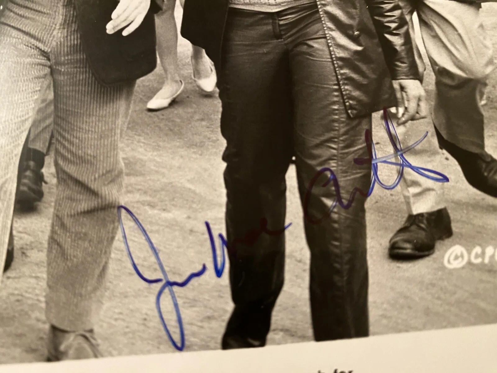 James MacArthur, Richard Todd — James MacArthur Richard Todd The Love Ins Cast Signed Autographed Photo With COA, image 3
