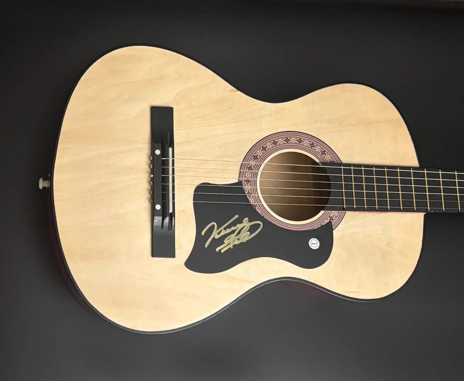 GFA Eagles & Country Legend * VINCE GILL * Signed Acoustic Guitar PROOF COA, изображение 2
