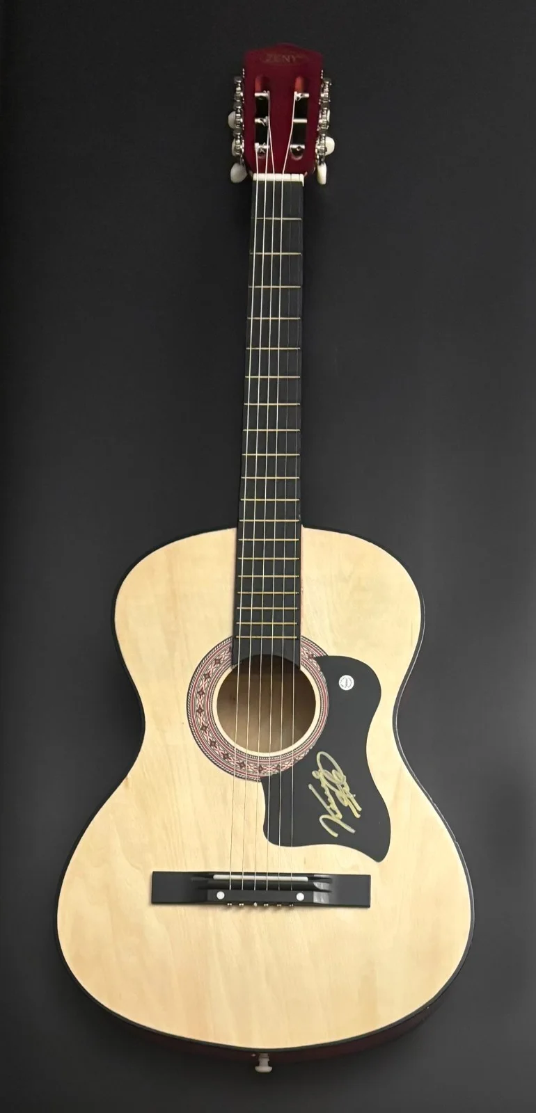 GFA Eagles & Country Legend * VINCE GILL * Signed Acoustic Guitar PROOF COA, изображение 4