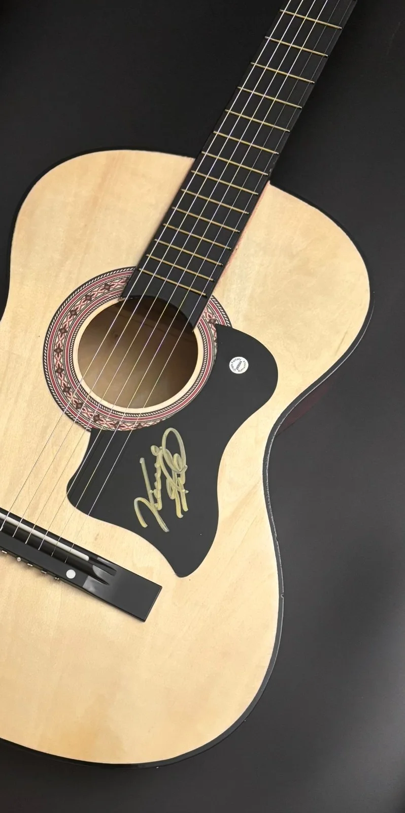 GFA Eagles & Country Legend * VINCE GILL * Signed Acoustic Guitar PROOF COA, изображение 5